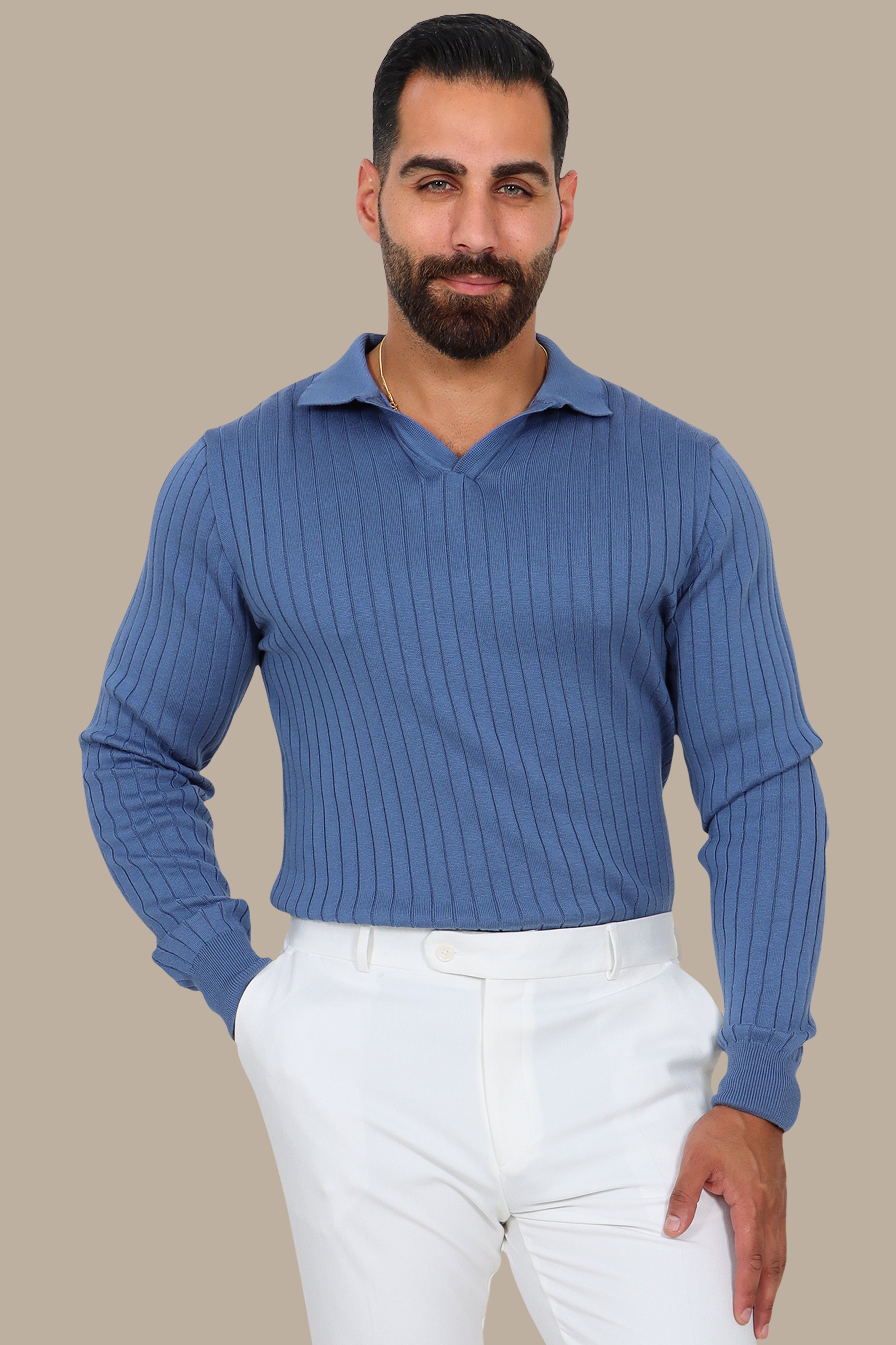 Basic Long-Sleeve Polo with Vertical Lines Blue