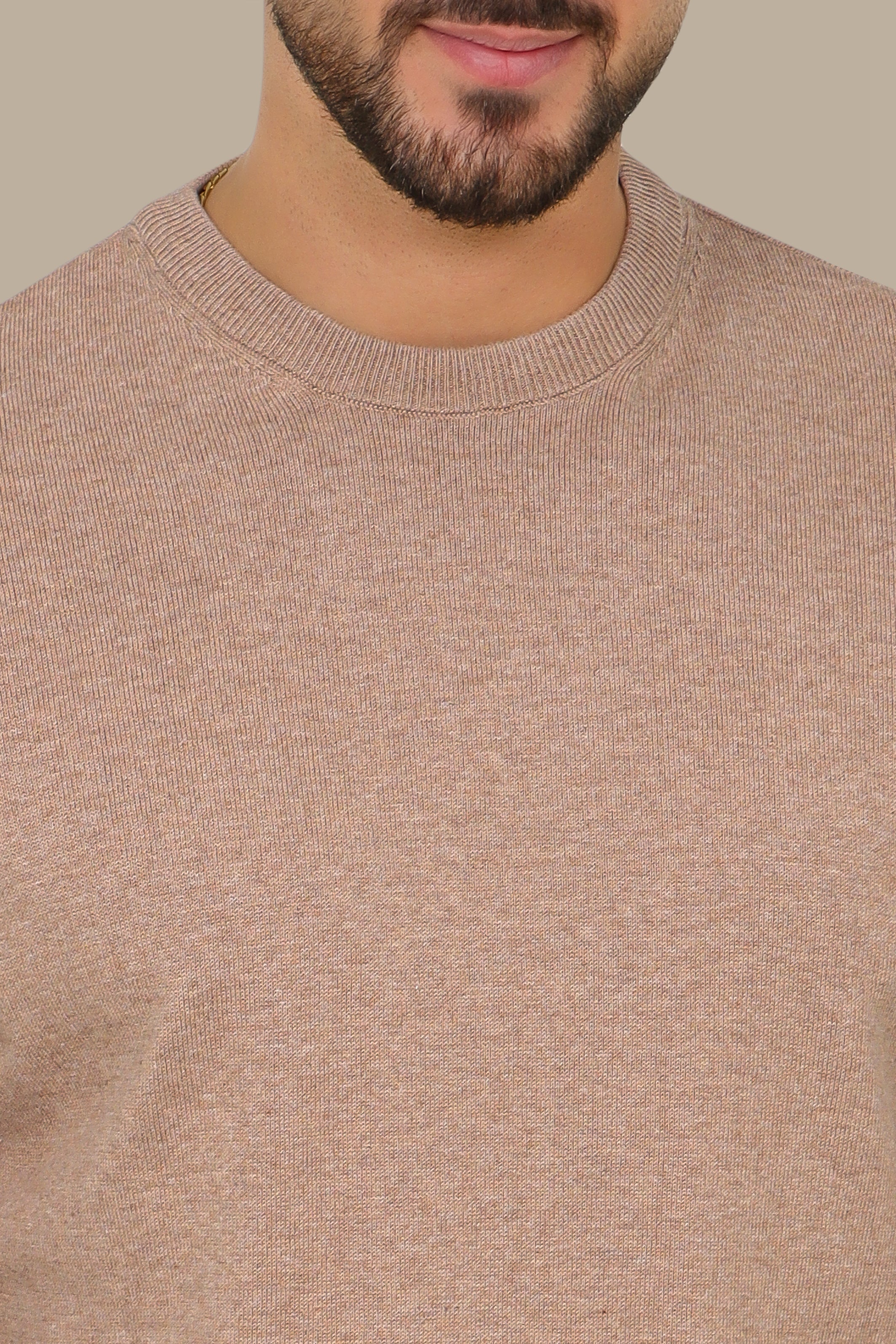 Beige Basic Round Neck Sweater