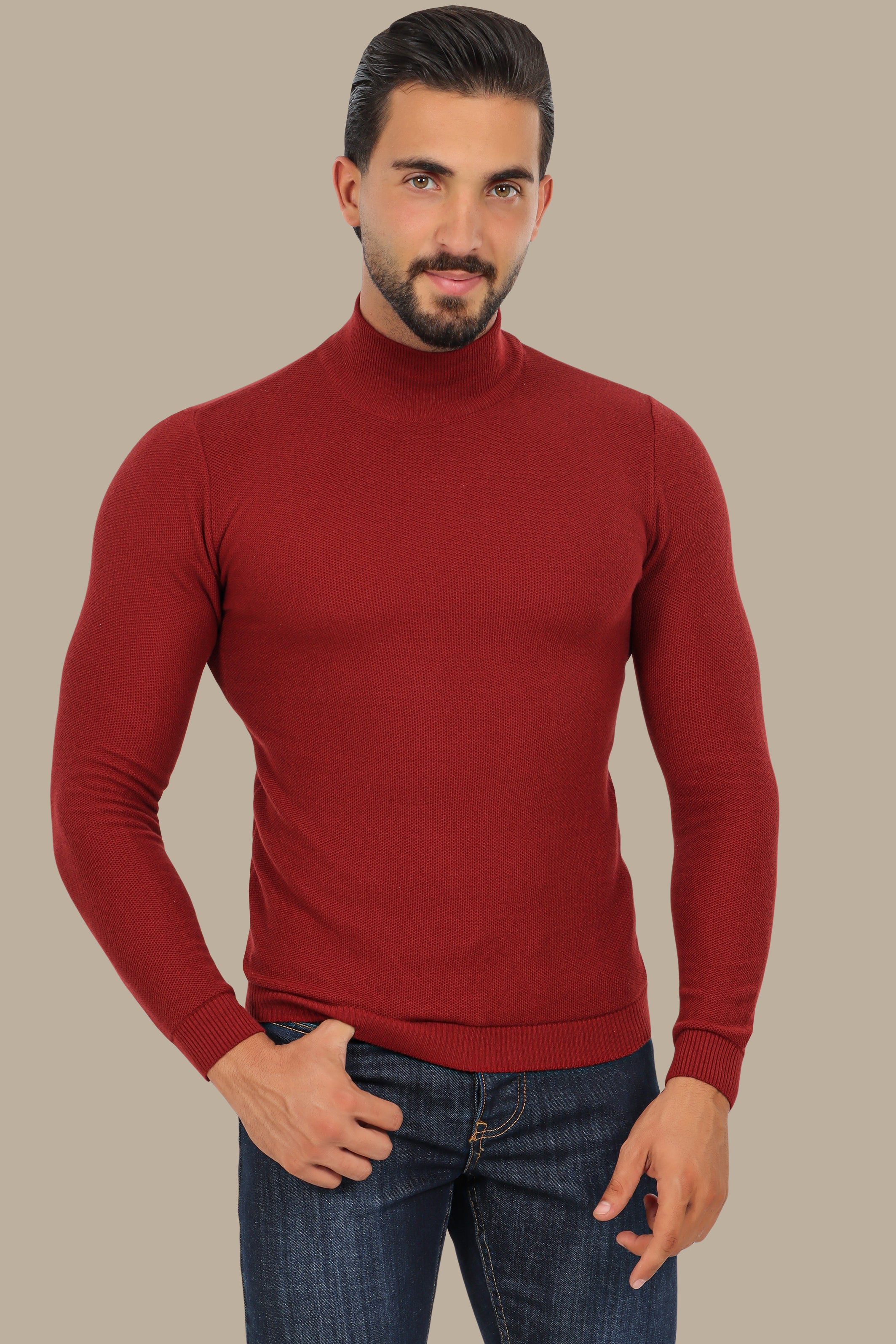 Bordeaux High Neck Basic Sweater
