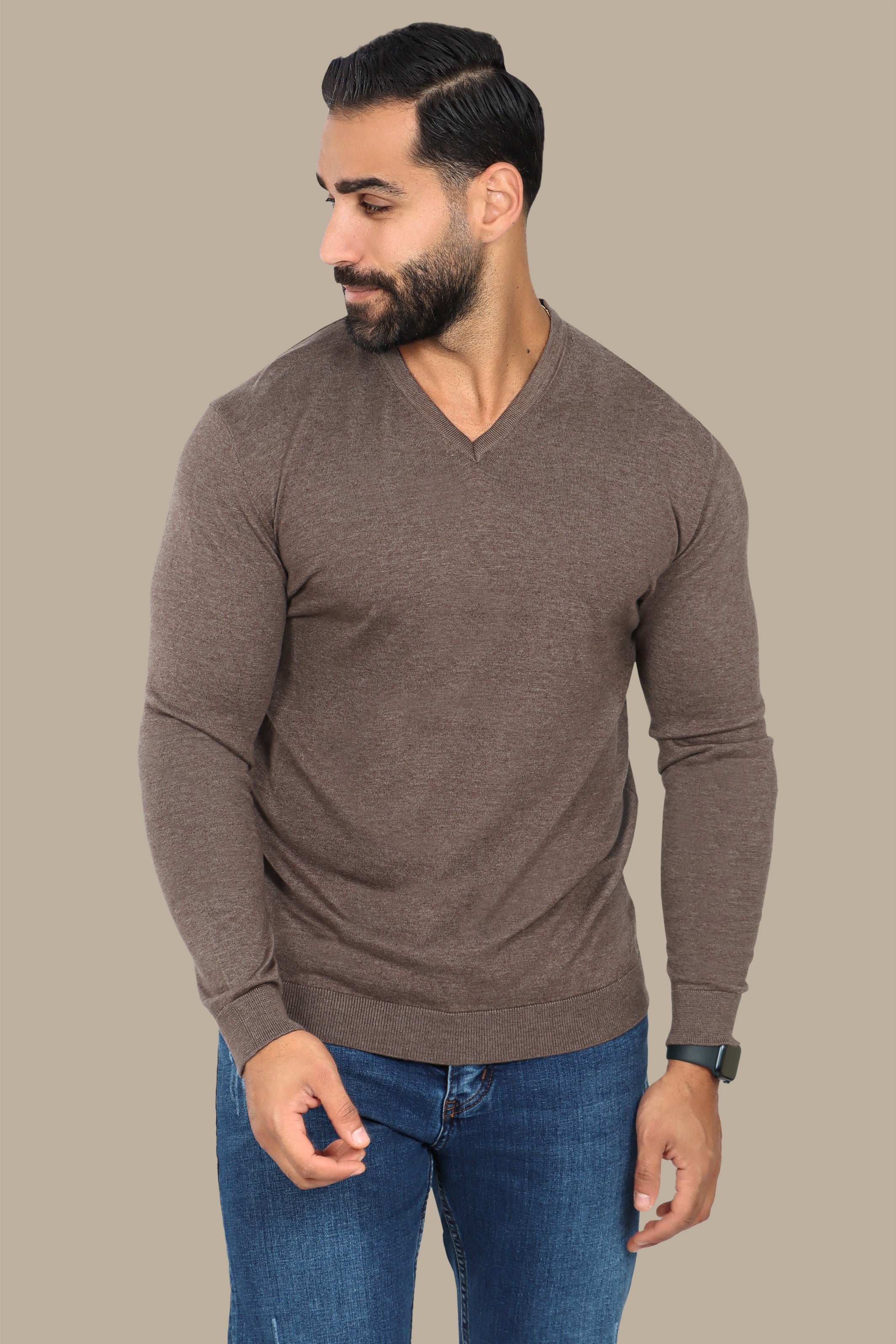 Camel V-Neck Basic Sweater