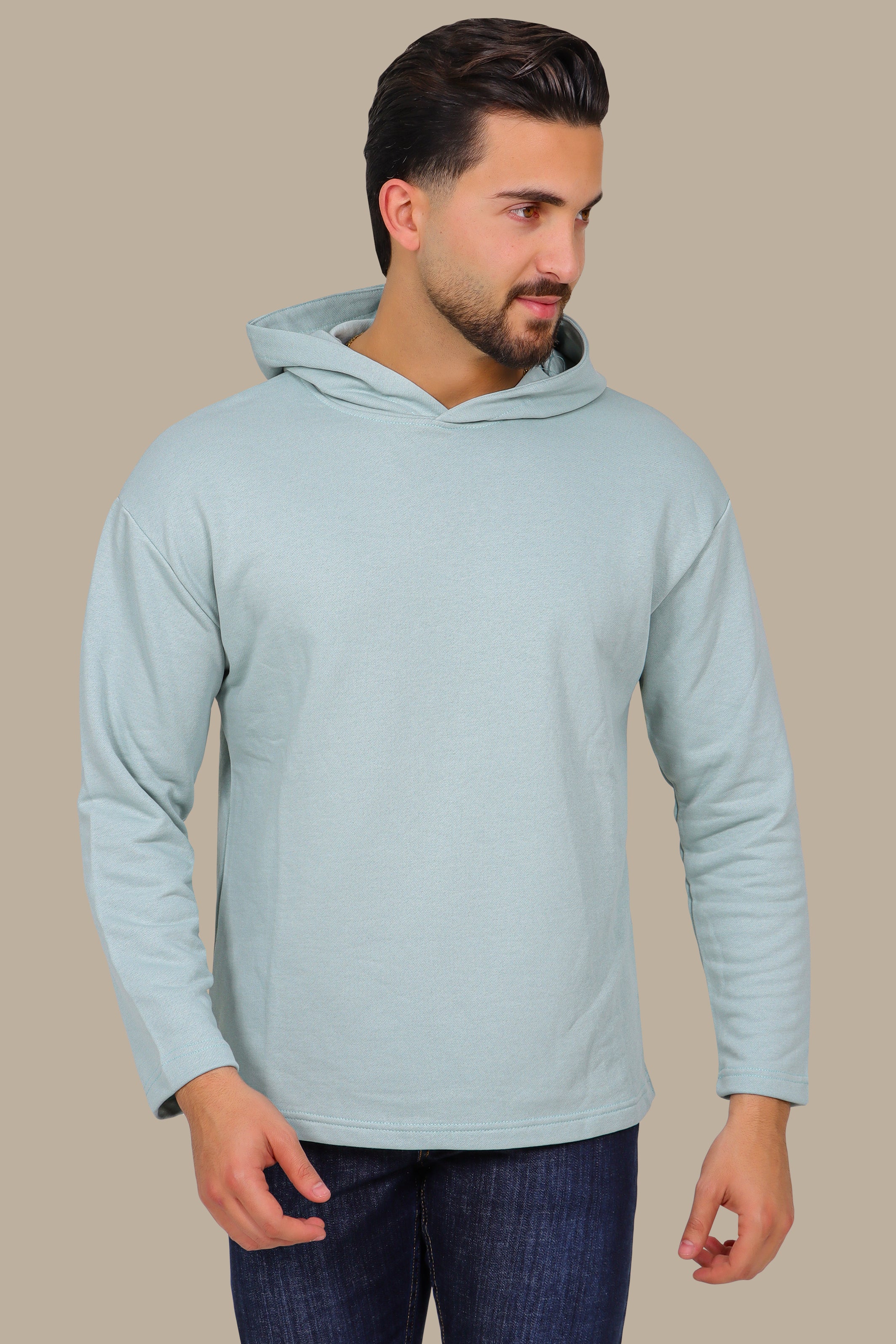 Basic Hooded Sweatshirt in Aqua