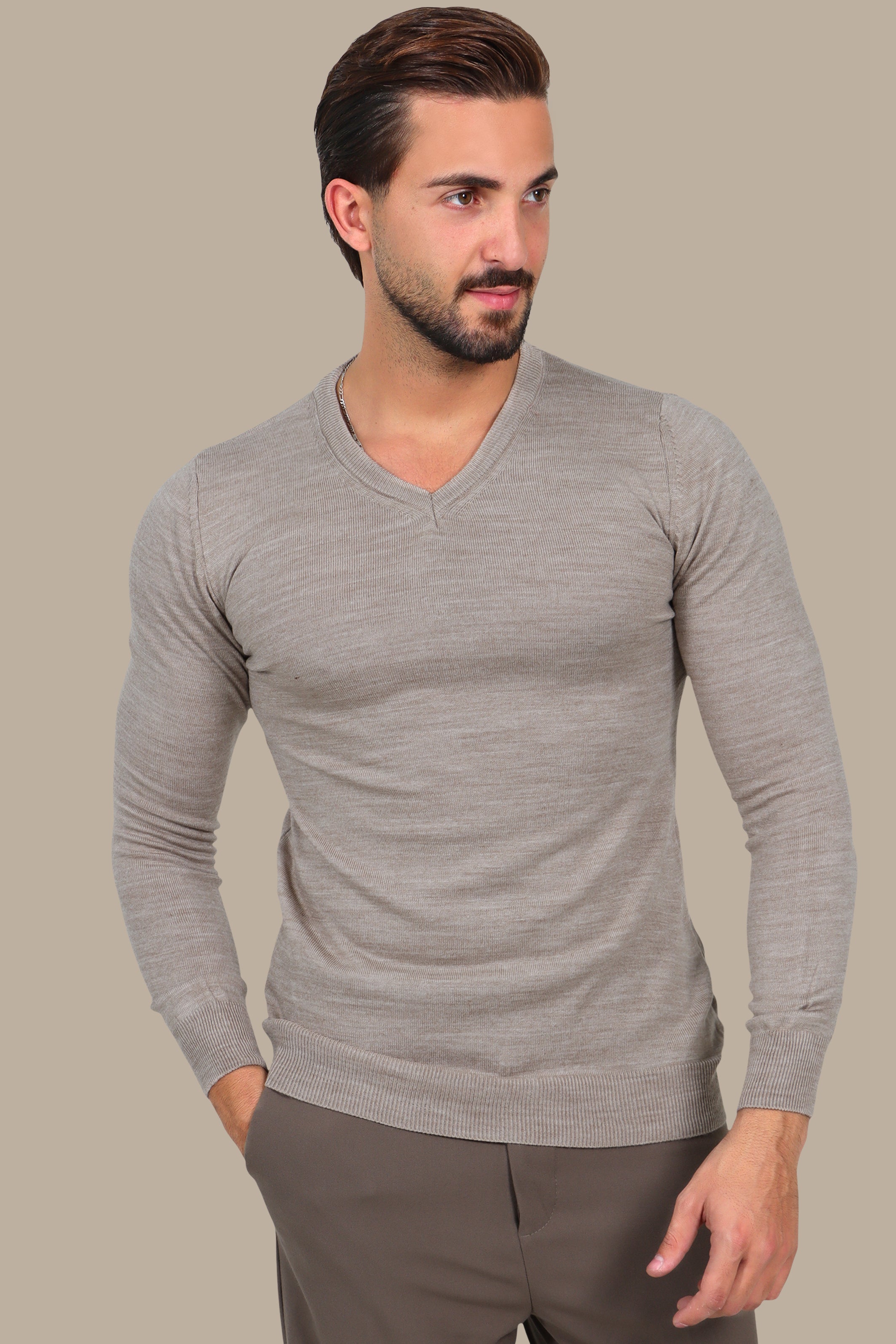 V Neck Sweater Basic Beige
