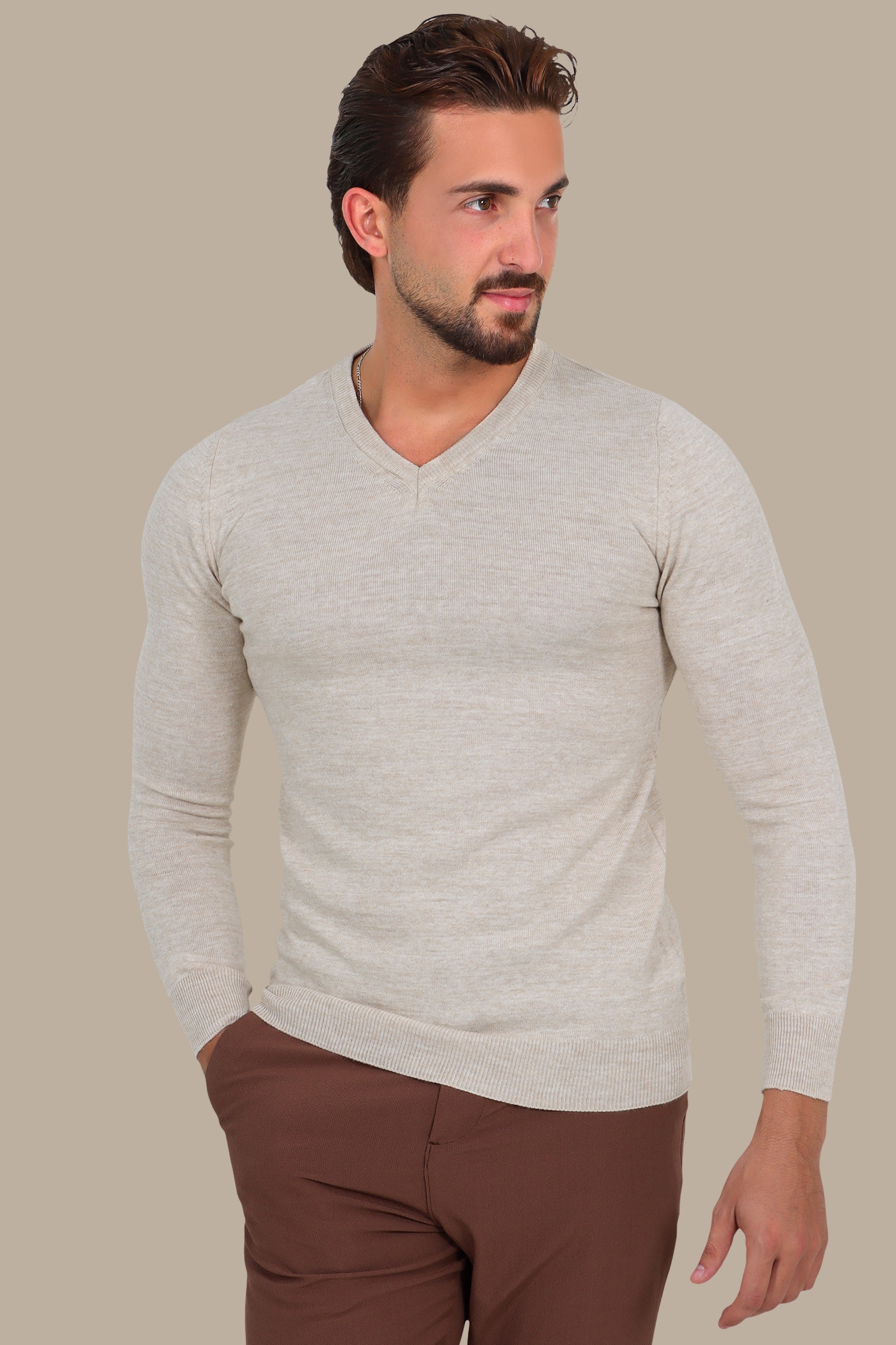 V-Neck Basic Sweater in Light Beige