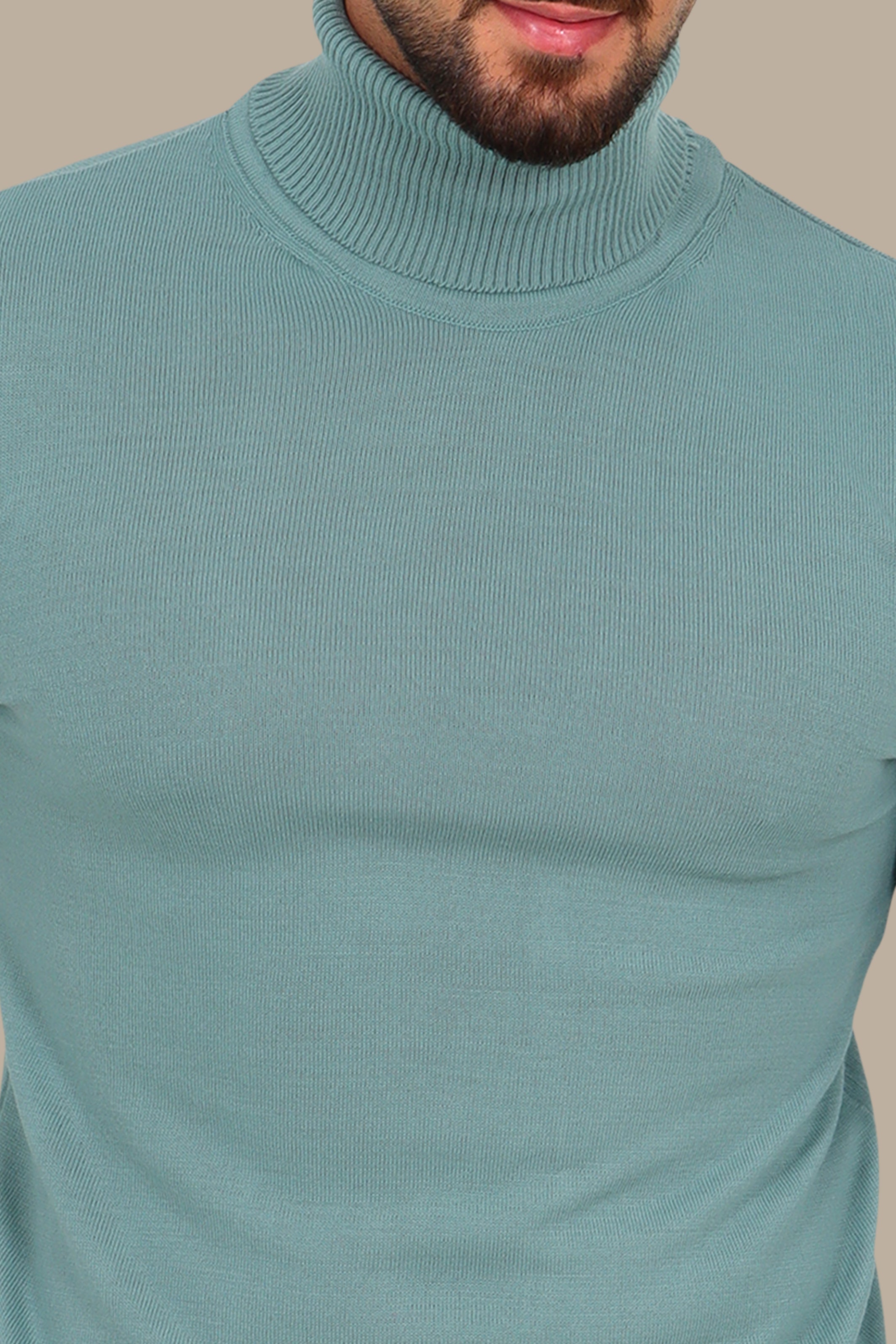 Turtle Neck Basic Sweater in Mint