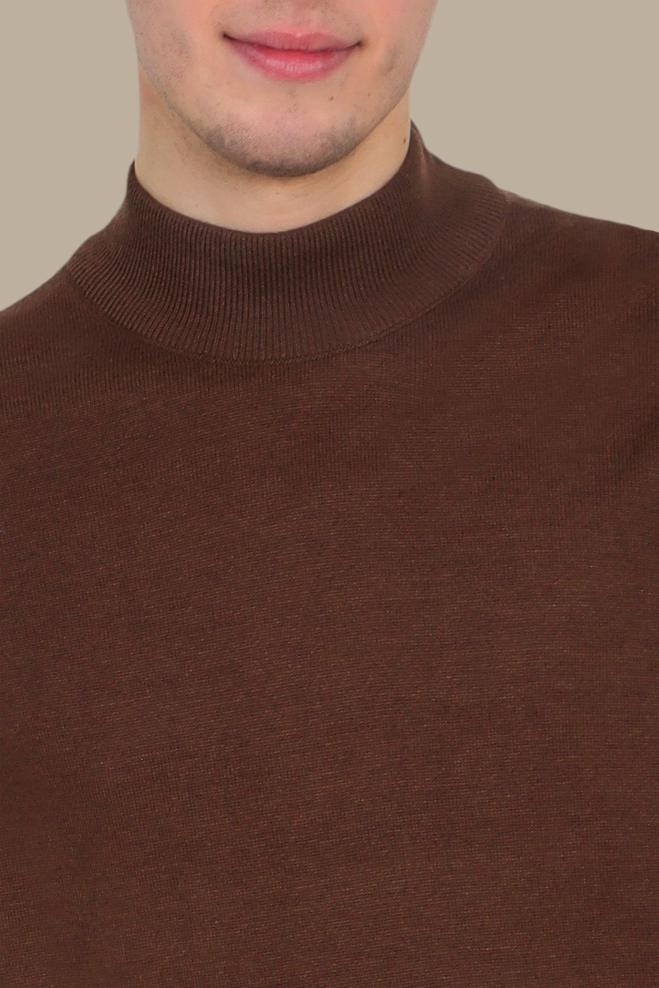 Brown High Neck Basic Sweater