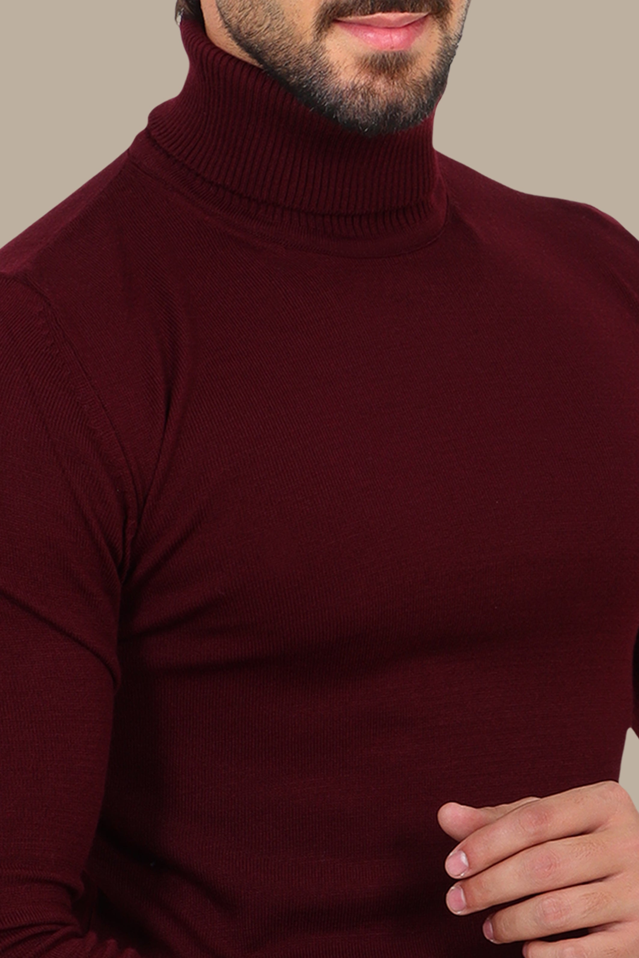 Turtleneck Basic Sweater Burgundy