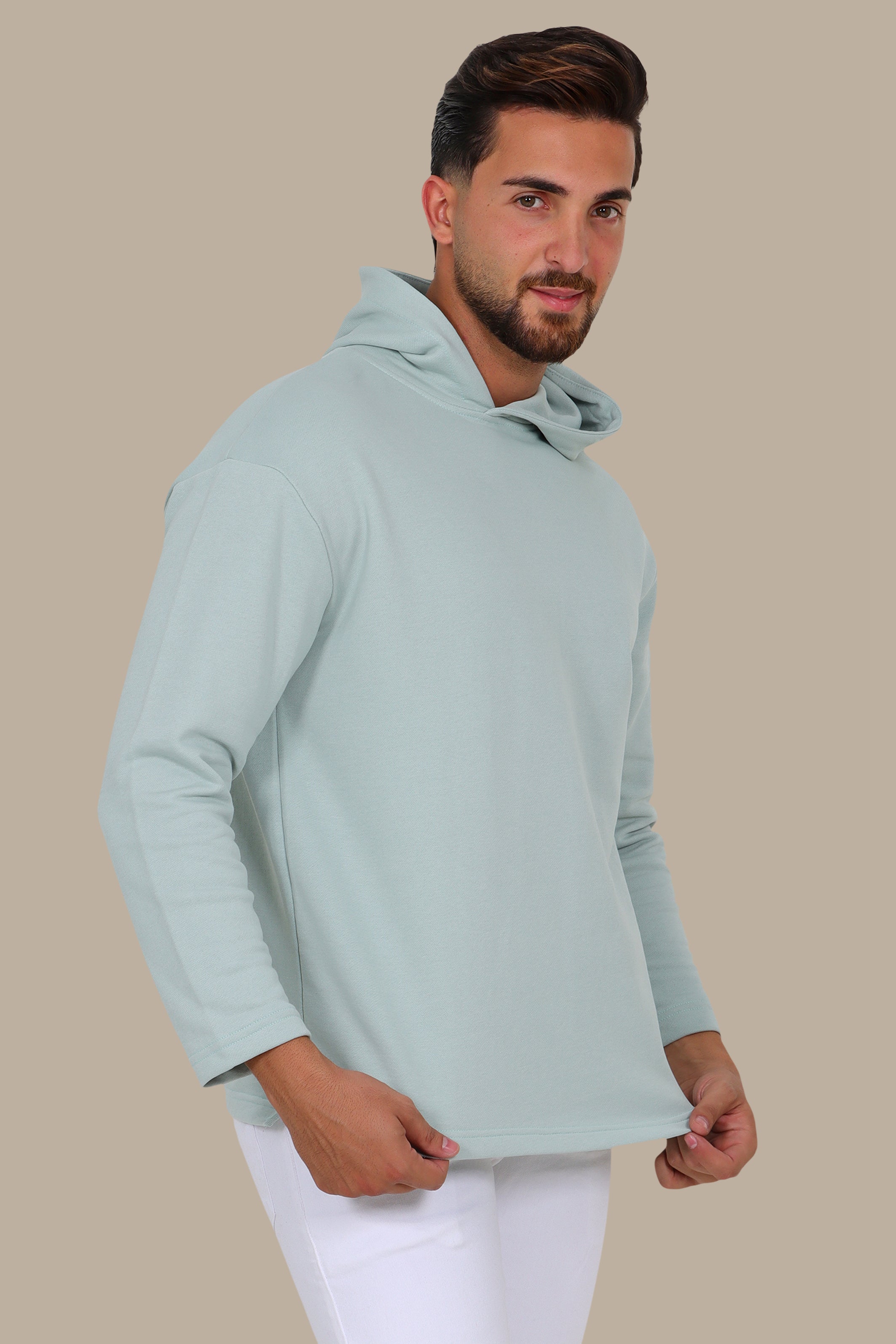Sweatshirt Hoody Plain Basic | Aqua