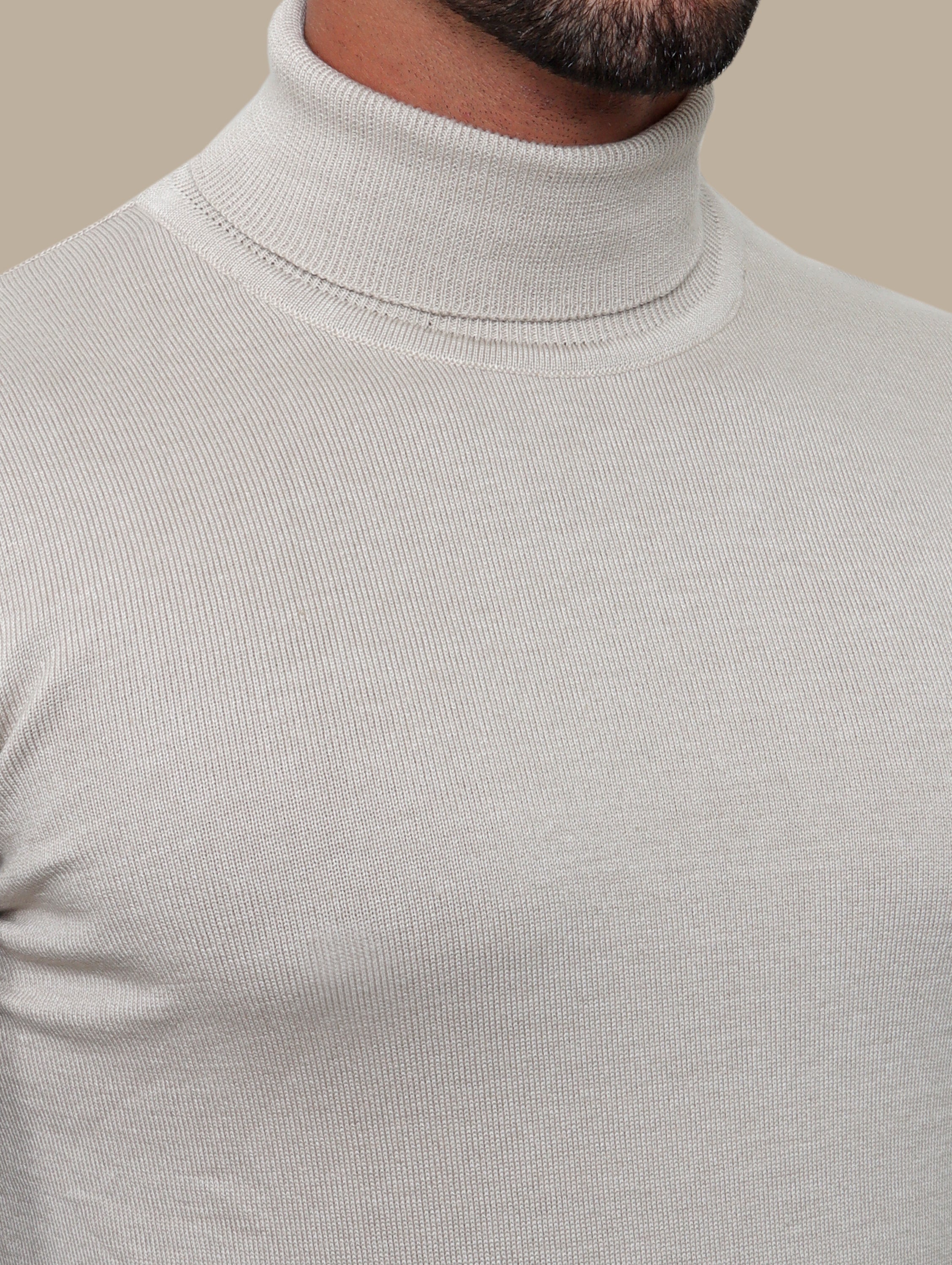 Beige Turtle Neck Basic Sweater