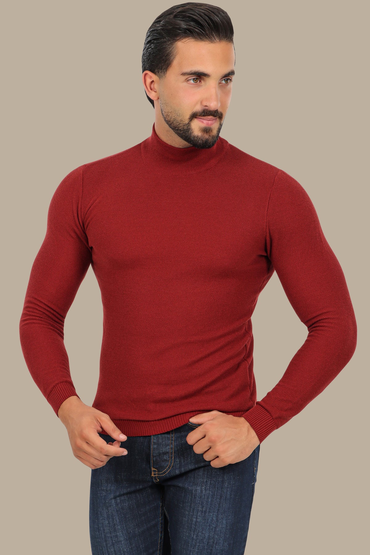 Bordeaux High Neck Basic Sweater