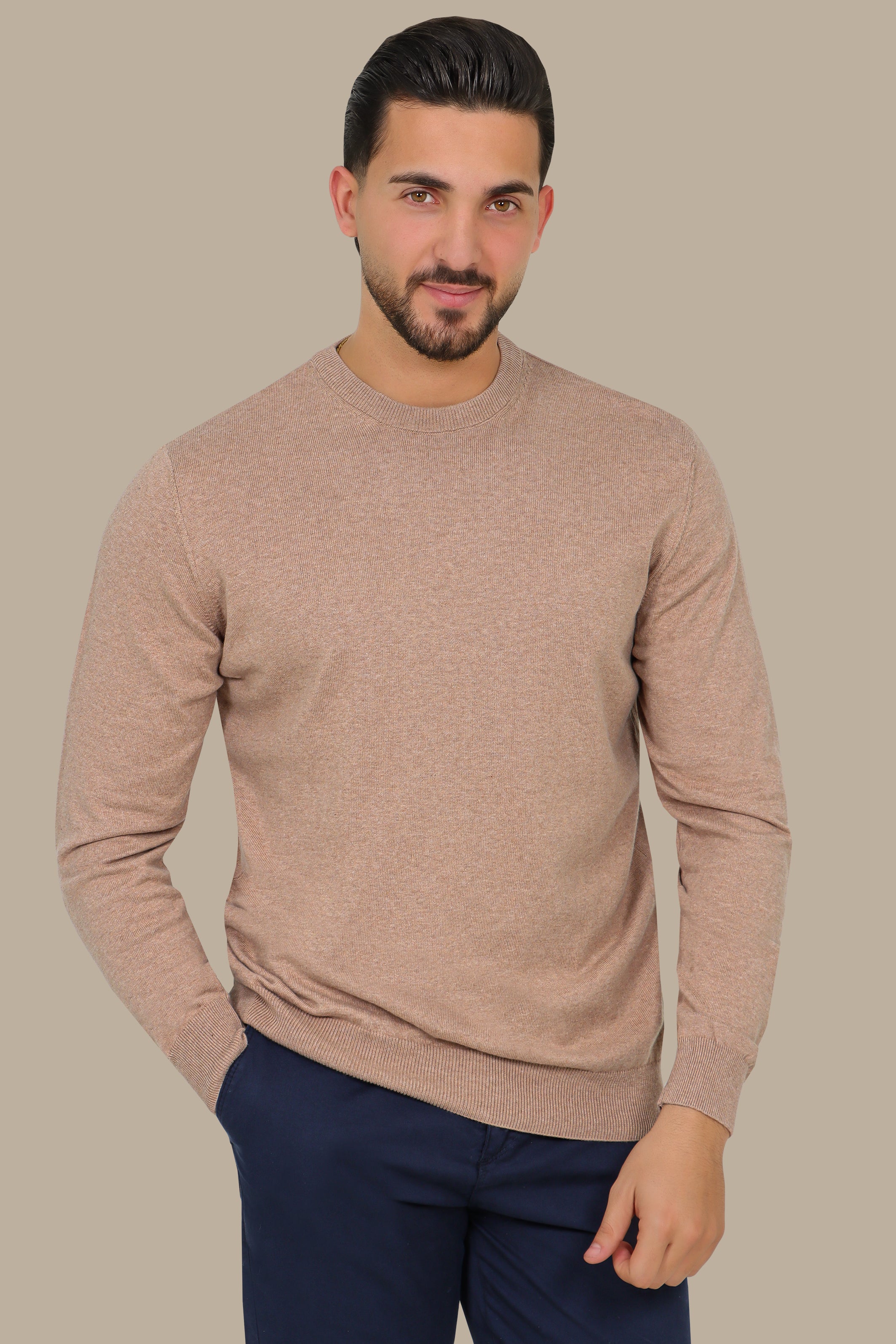 Beige Basic Round Neck Sweater