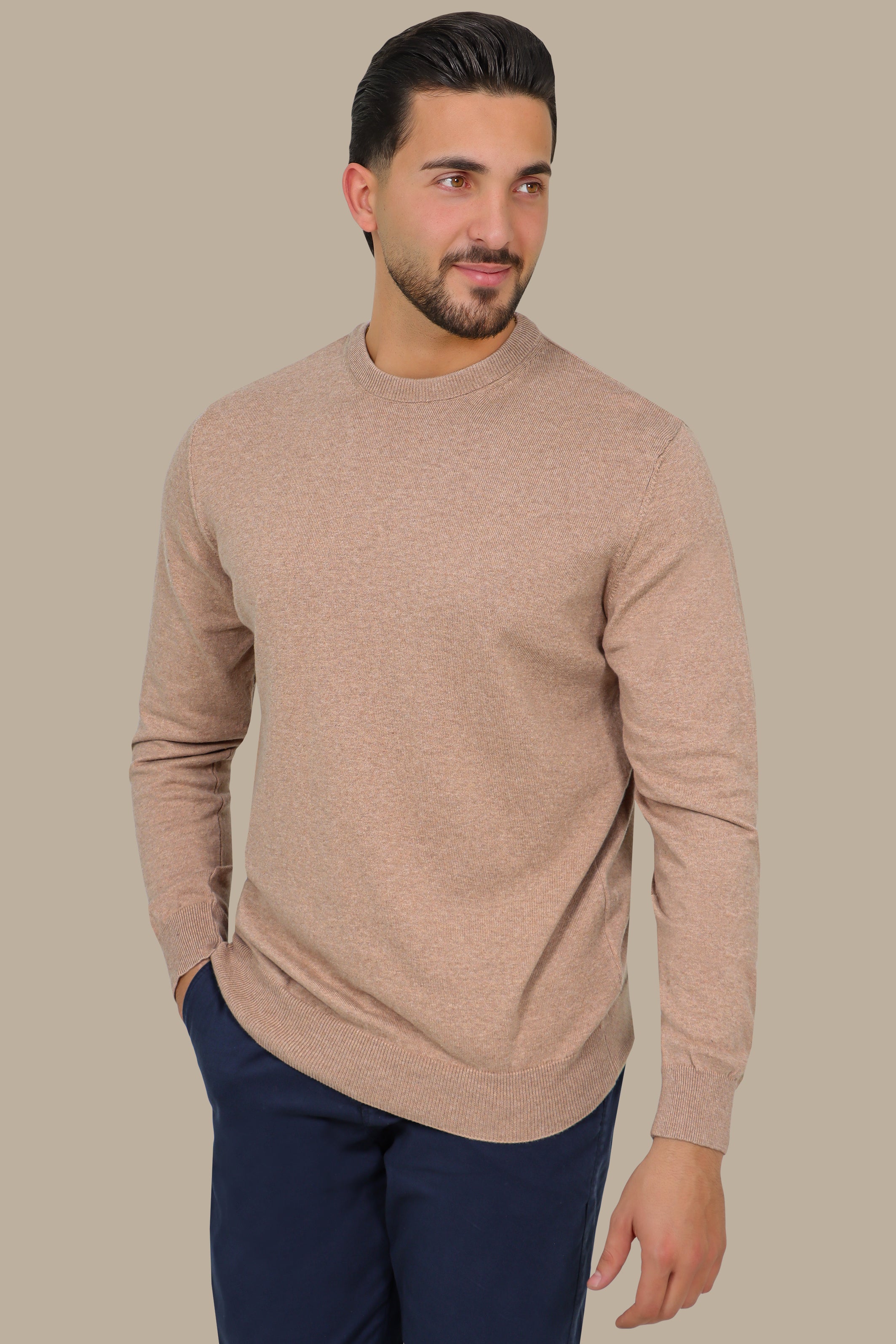 Beige Basic Round Neck Sweater