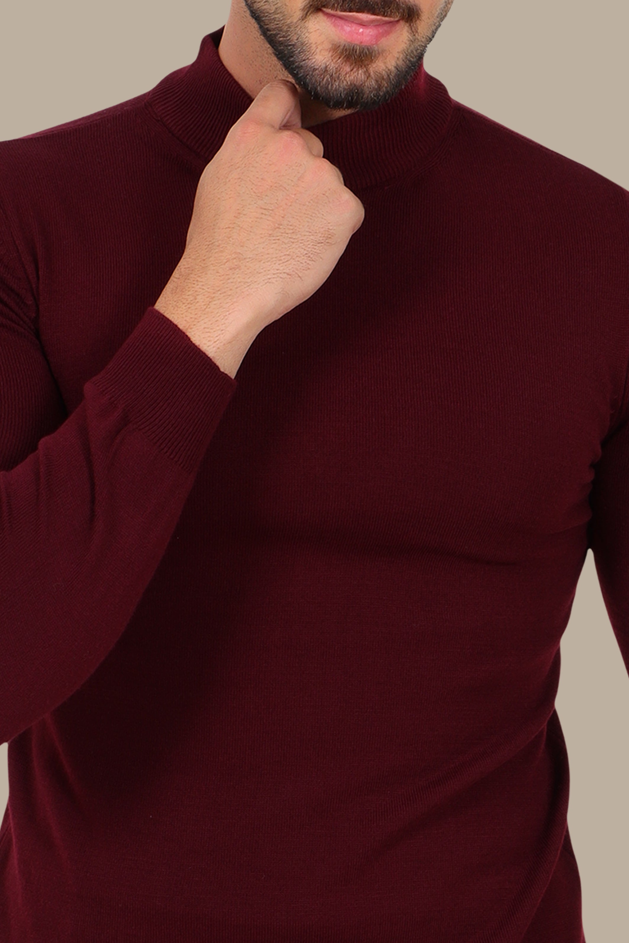 Burgundy High Neck Basic Sweater
