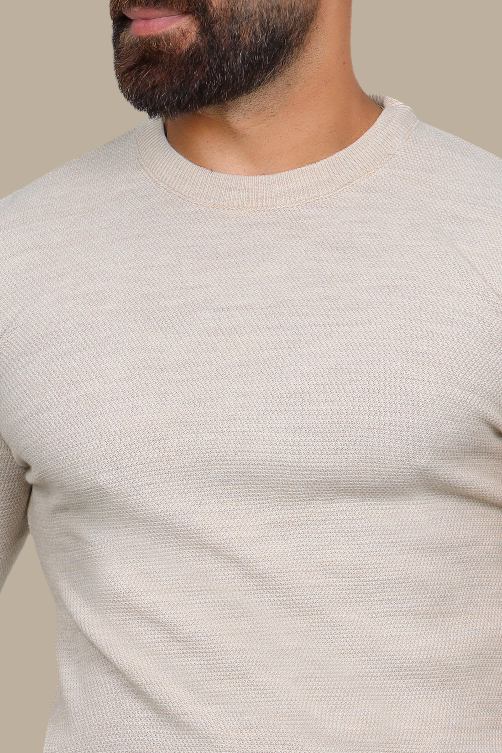 Beige Structured Round Neck Sweater