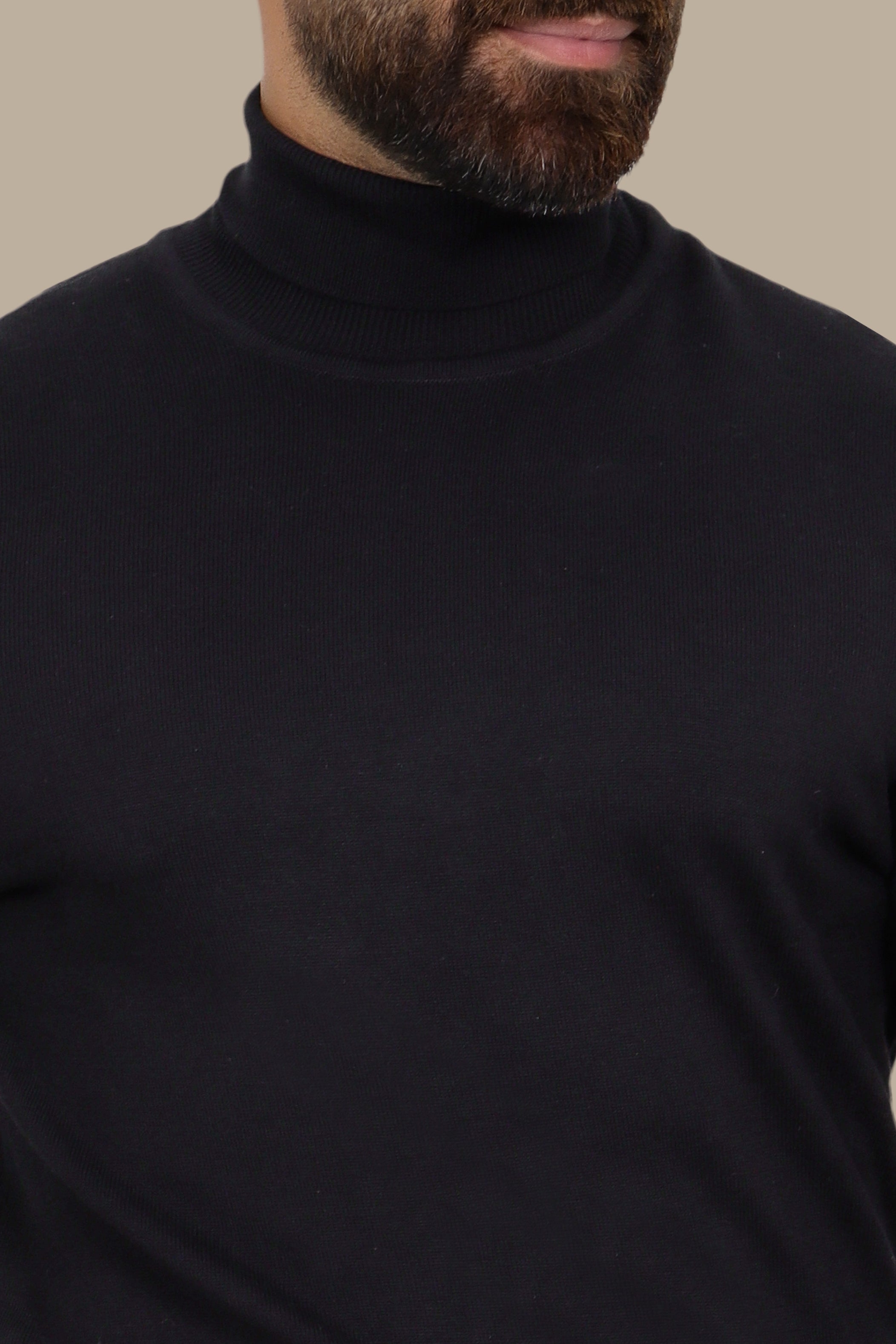 Black Turtle Neck Basic Sweater