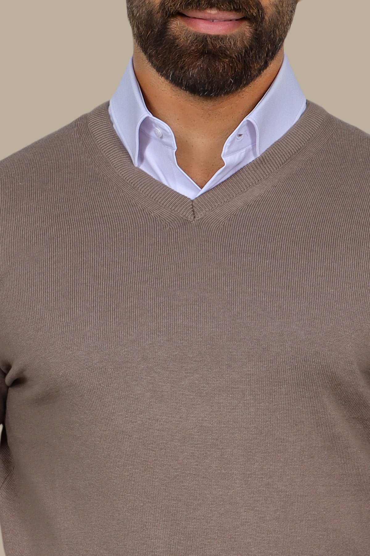Camel V-Neck Basic Sweater