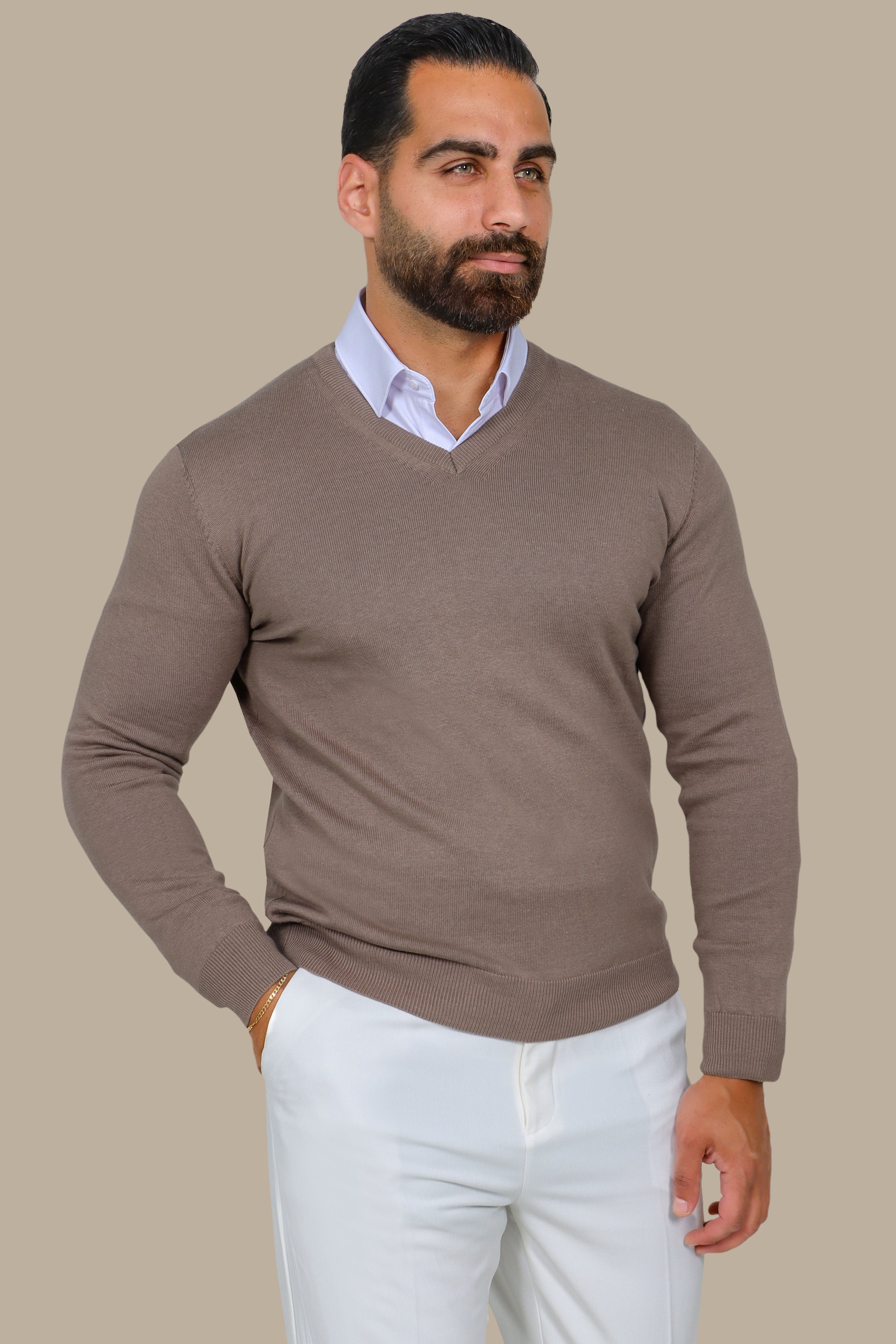 Camel V-Neck Basic Sweater
