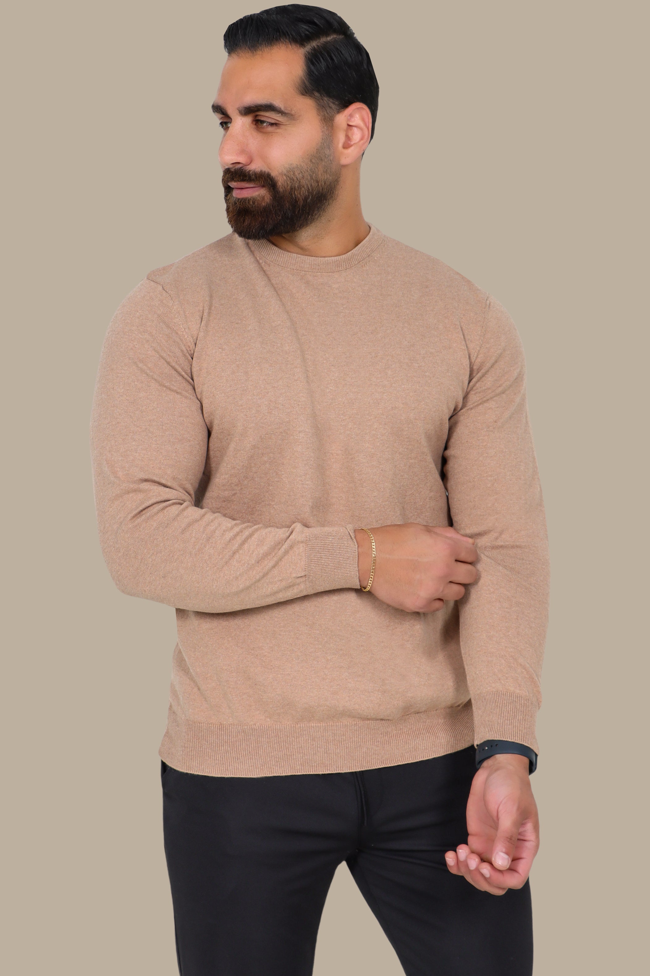 Beige Basic Round Neck Sweater