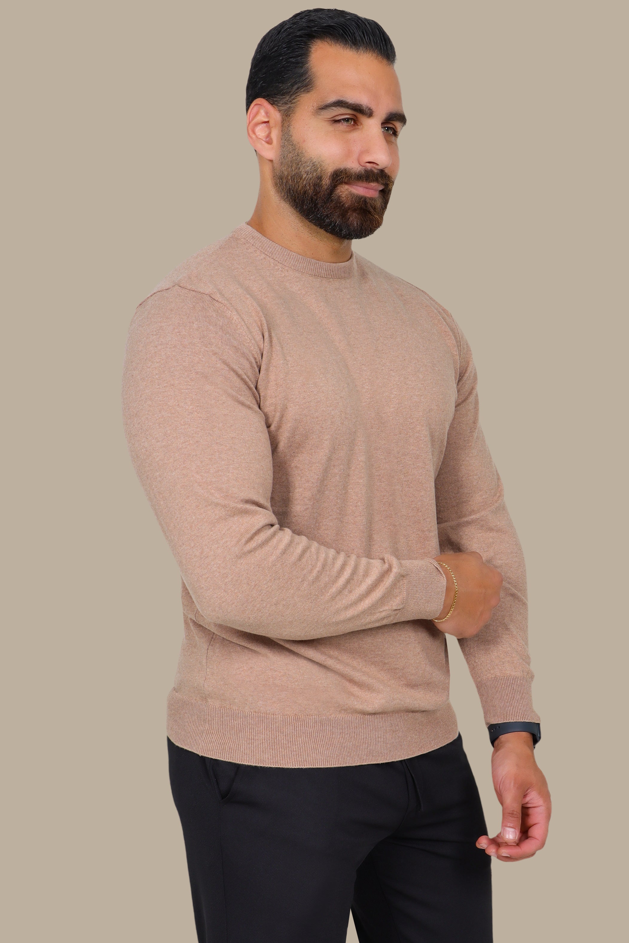 Beige Basic Round Neck Sweater