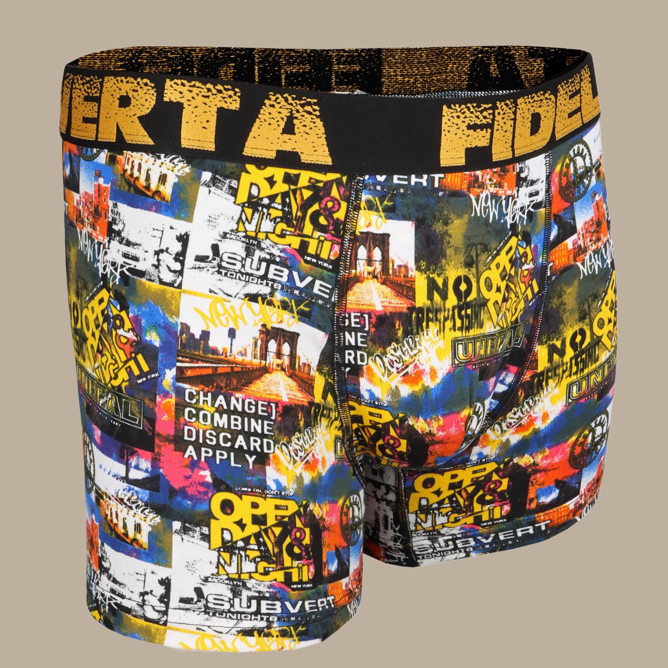 Multi-Color Fidel Verta Boxer Shorts