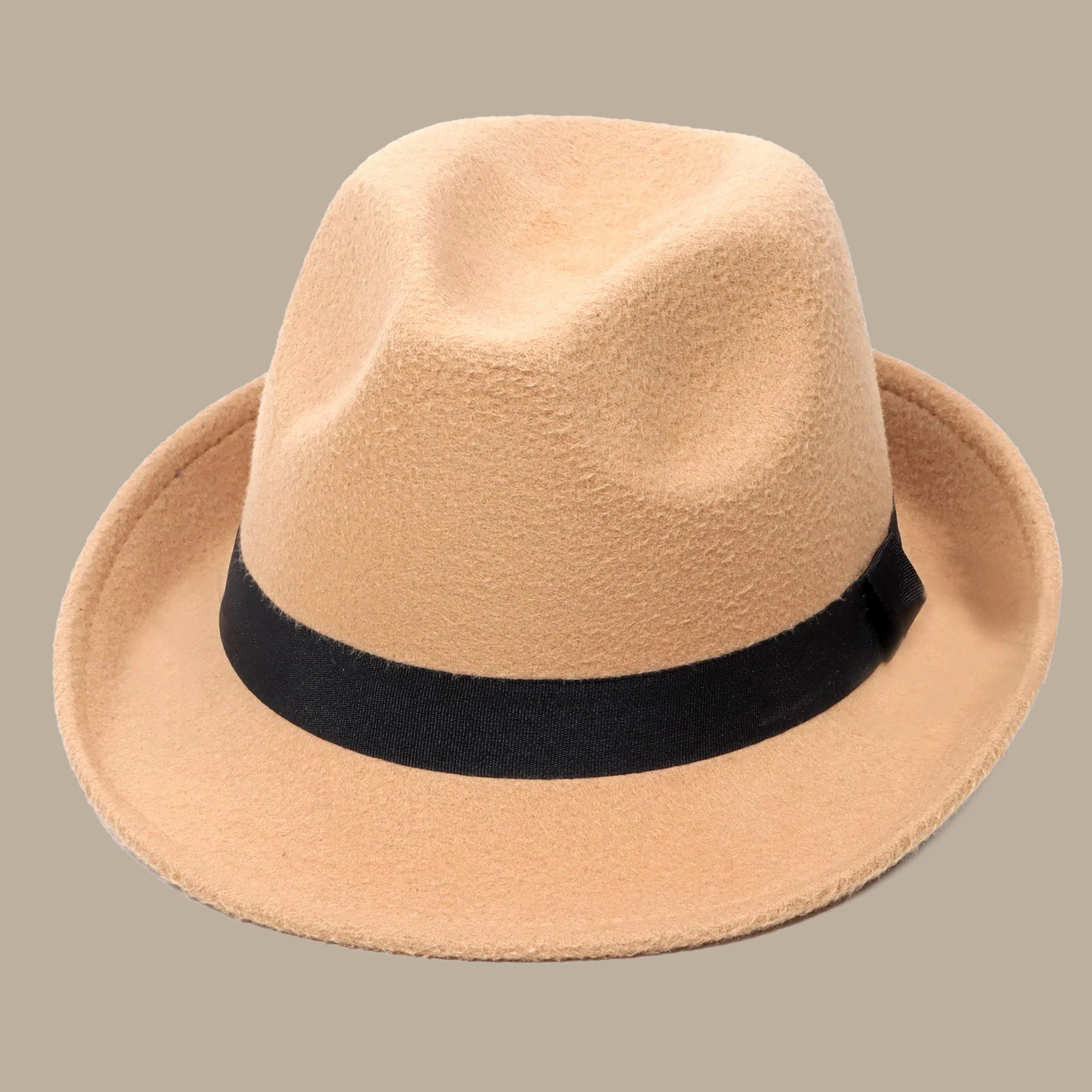 Beige Panama Hat