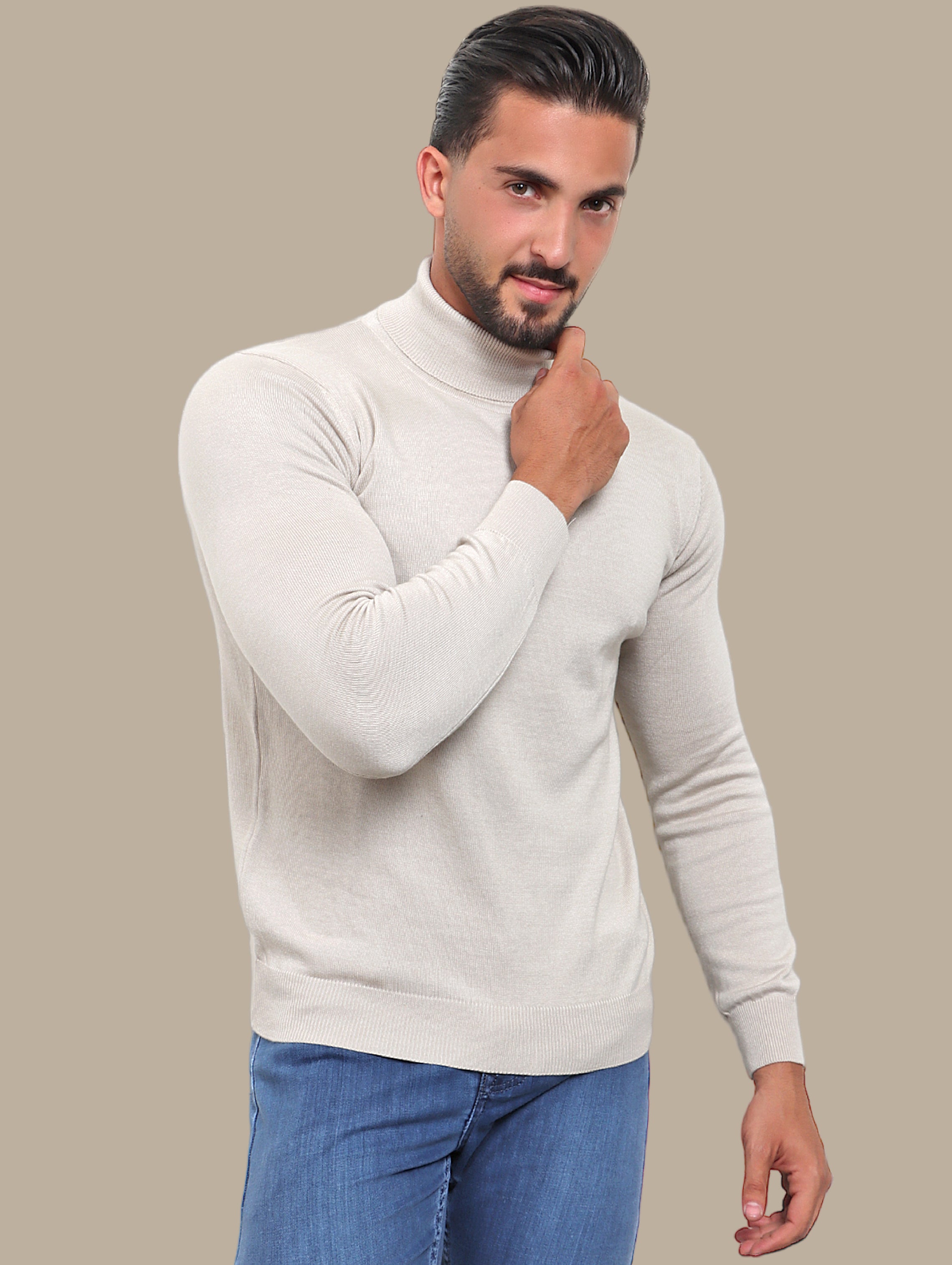 Beige Turtle Neck Basic Sweater