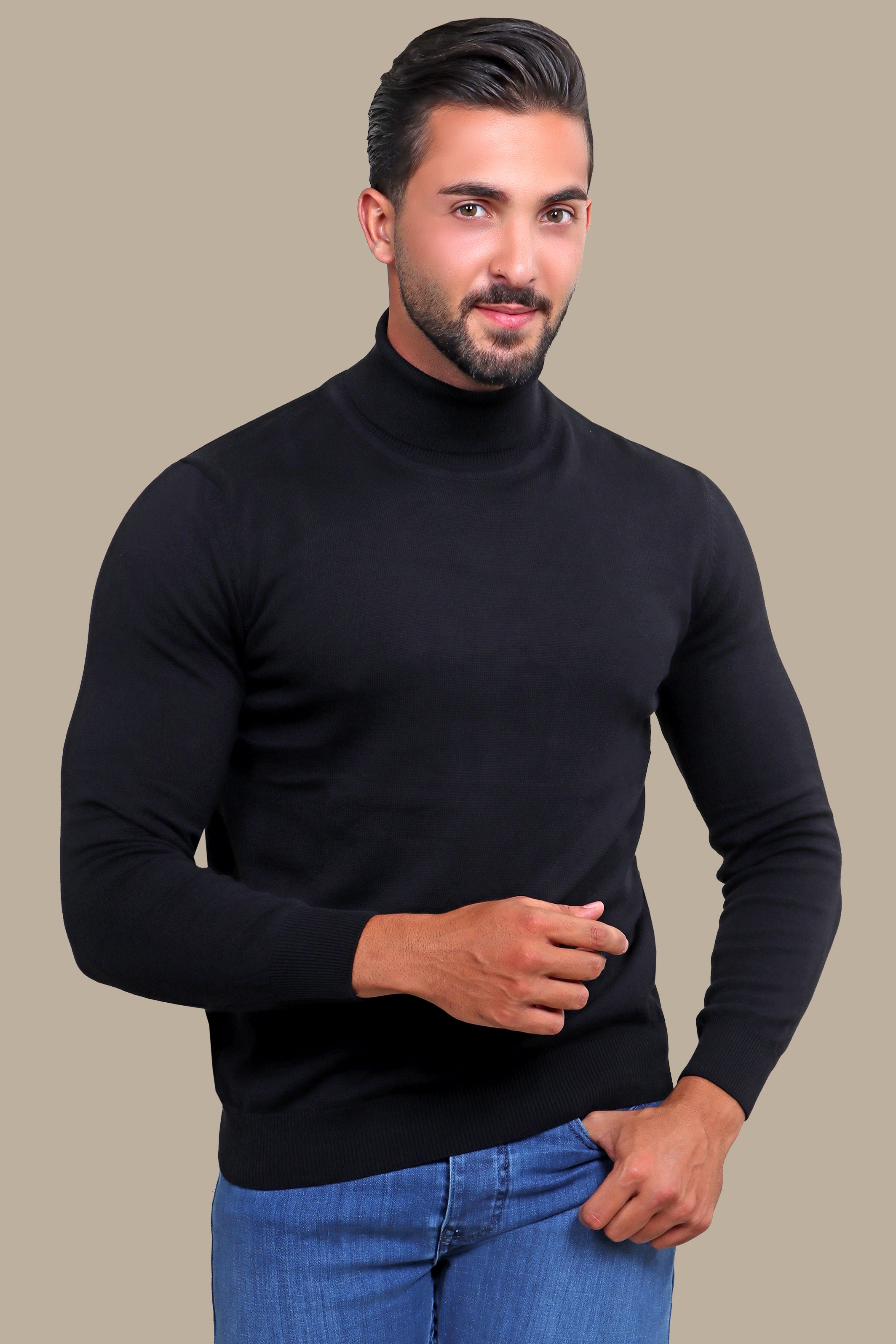 Black Turtle Neck Basic Sweater