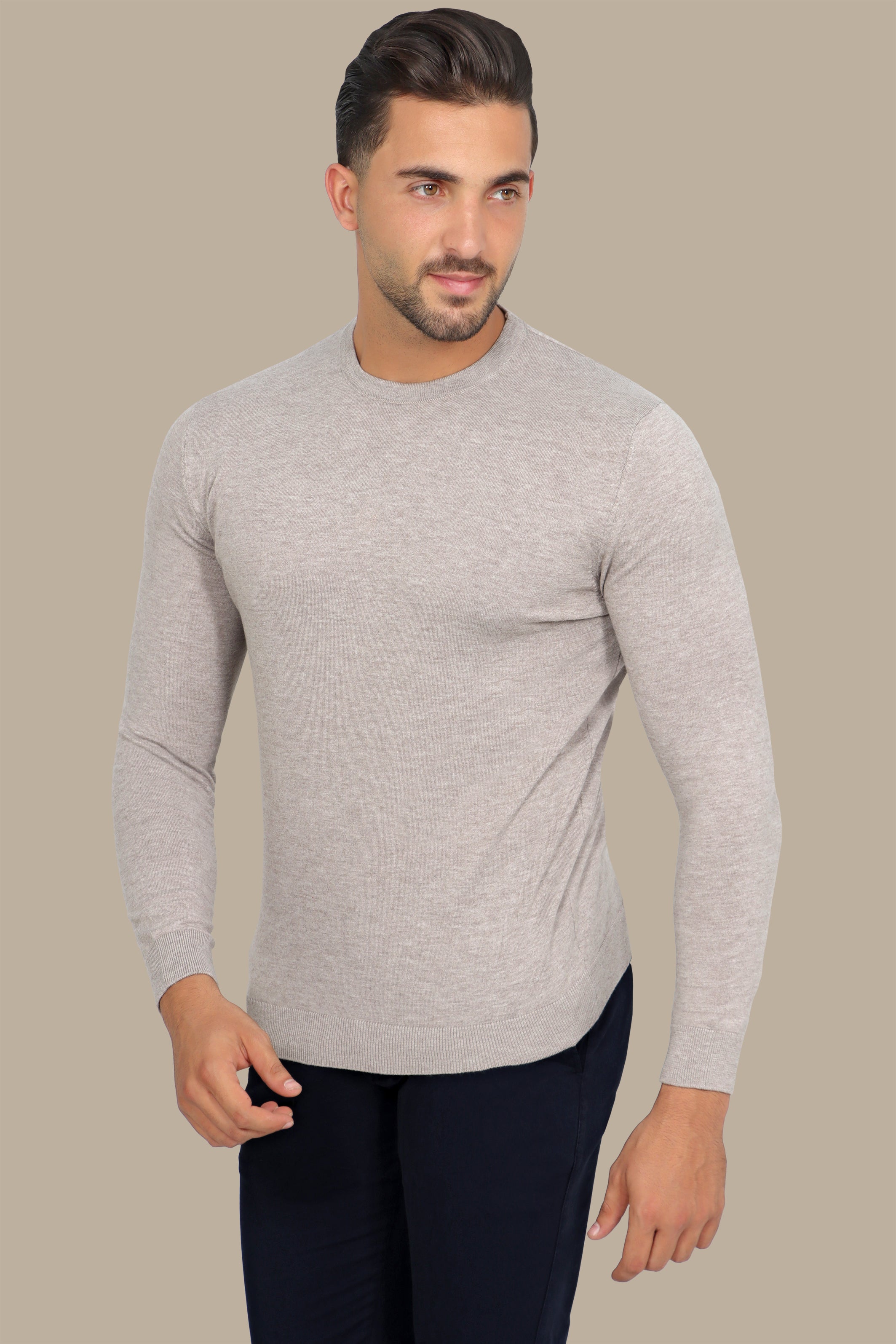 Beige Basic Round Neck Sweater