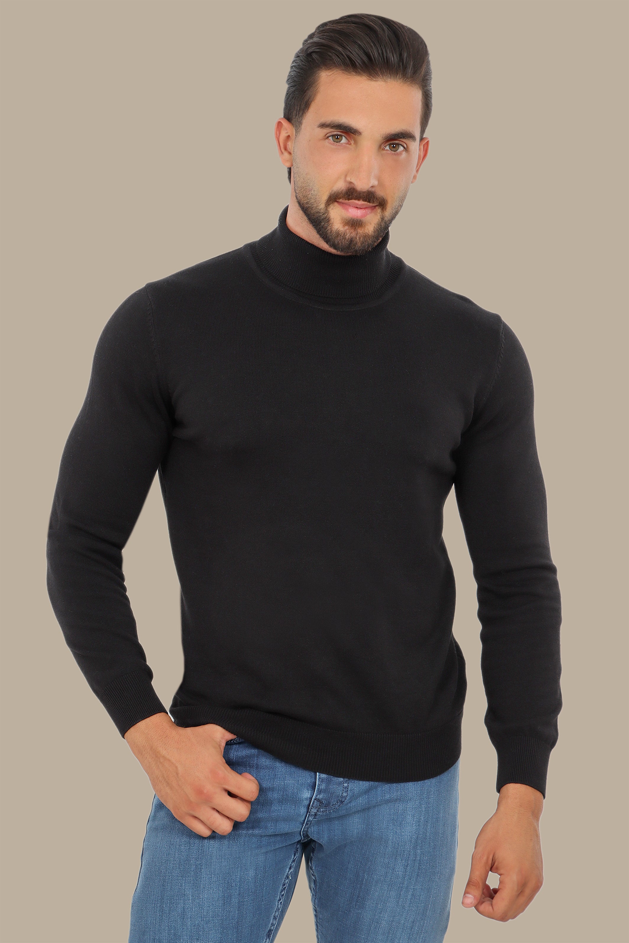 Black Turtle Neck Basic Sweater