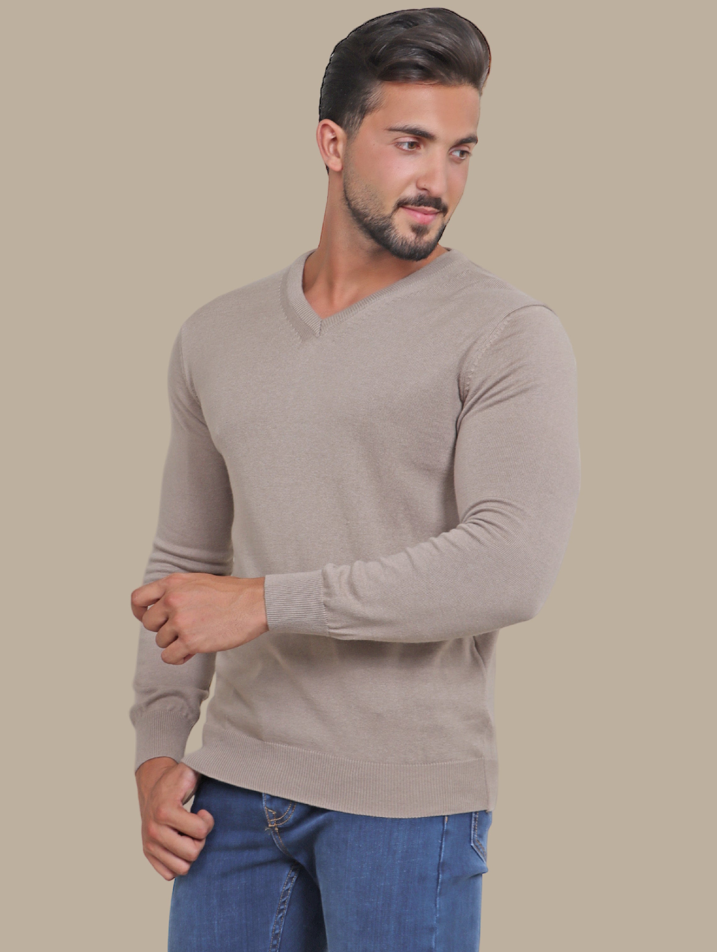 Camel V-Neck Basic Sweater