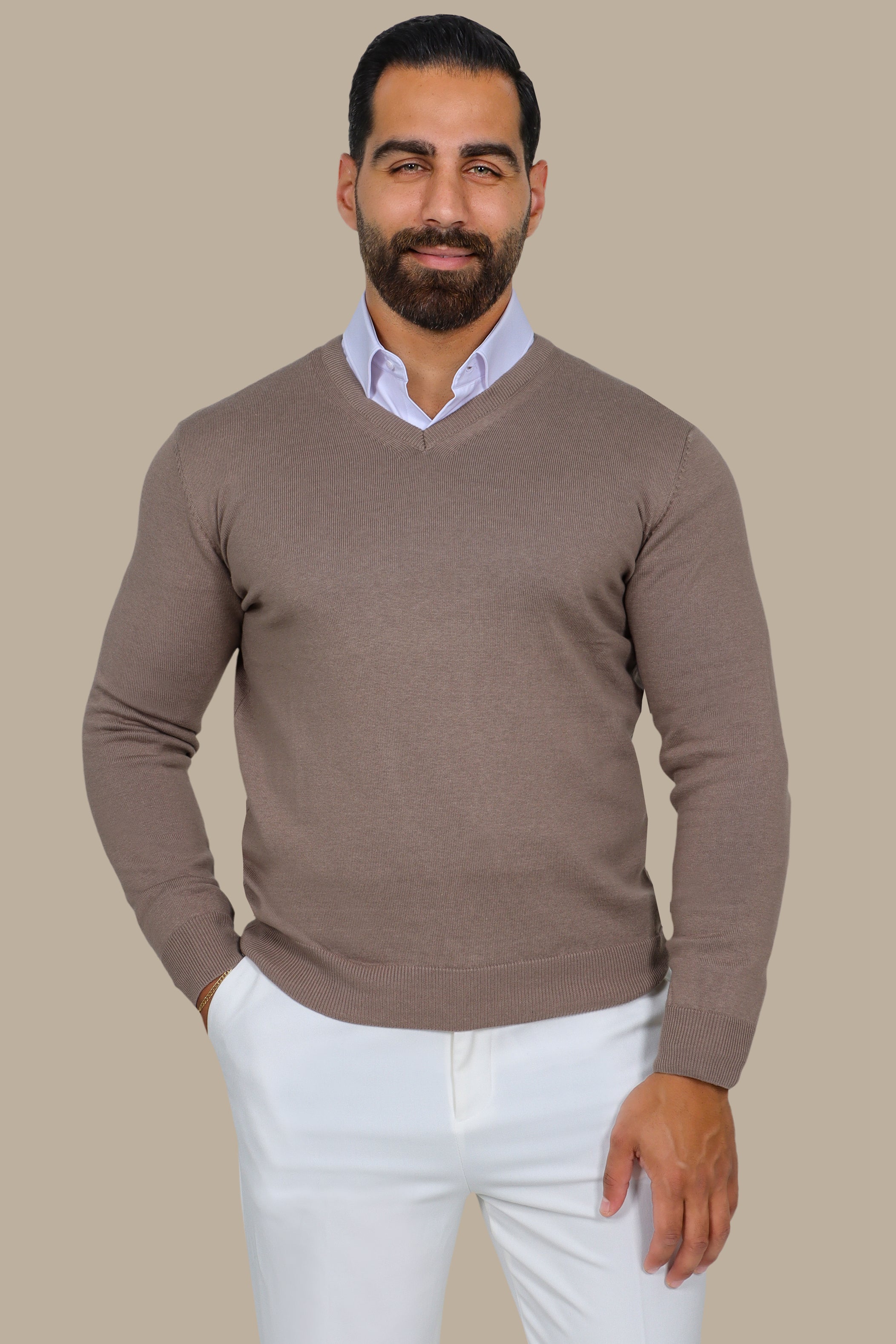 Camel V-Neck Basic Sweater