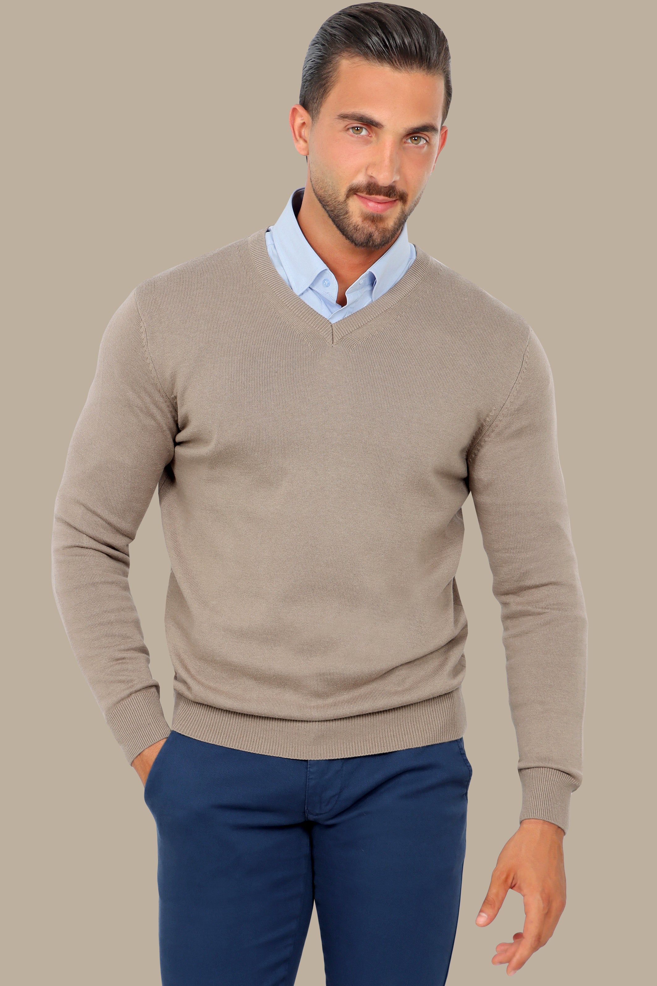 Camel V-Neck Basic Sweater