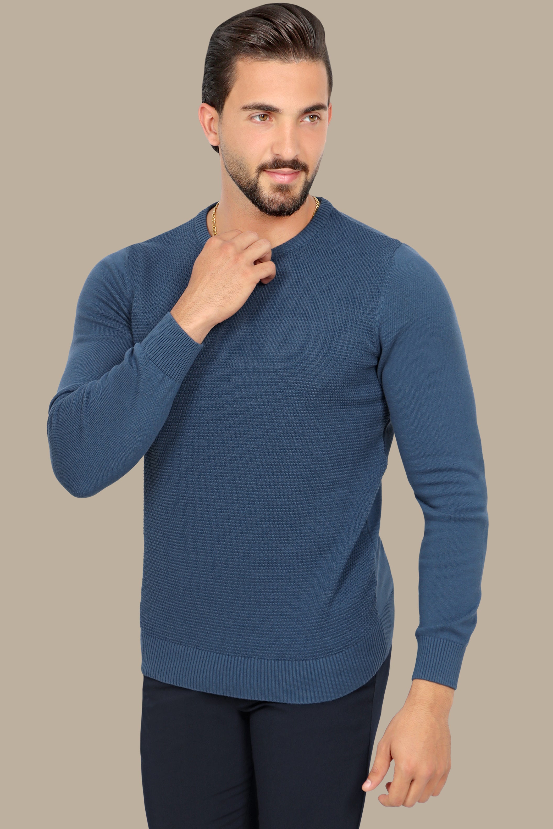 Blue Round Neck Sweater with Bee Print