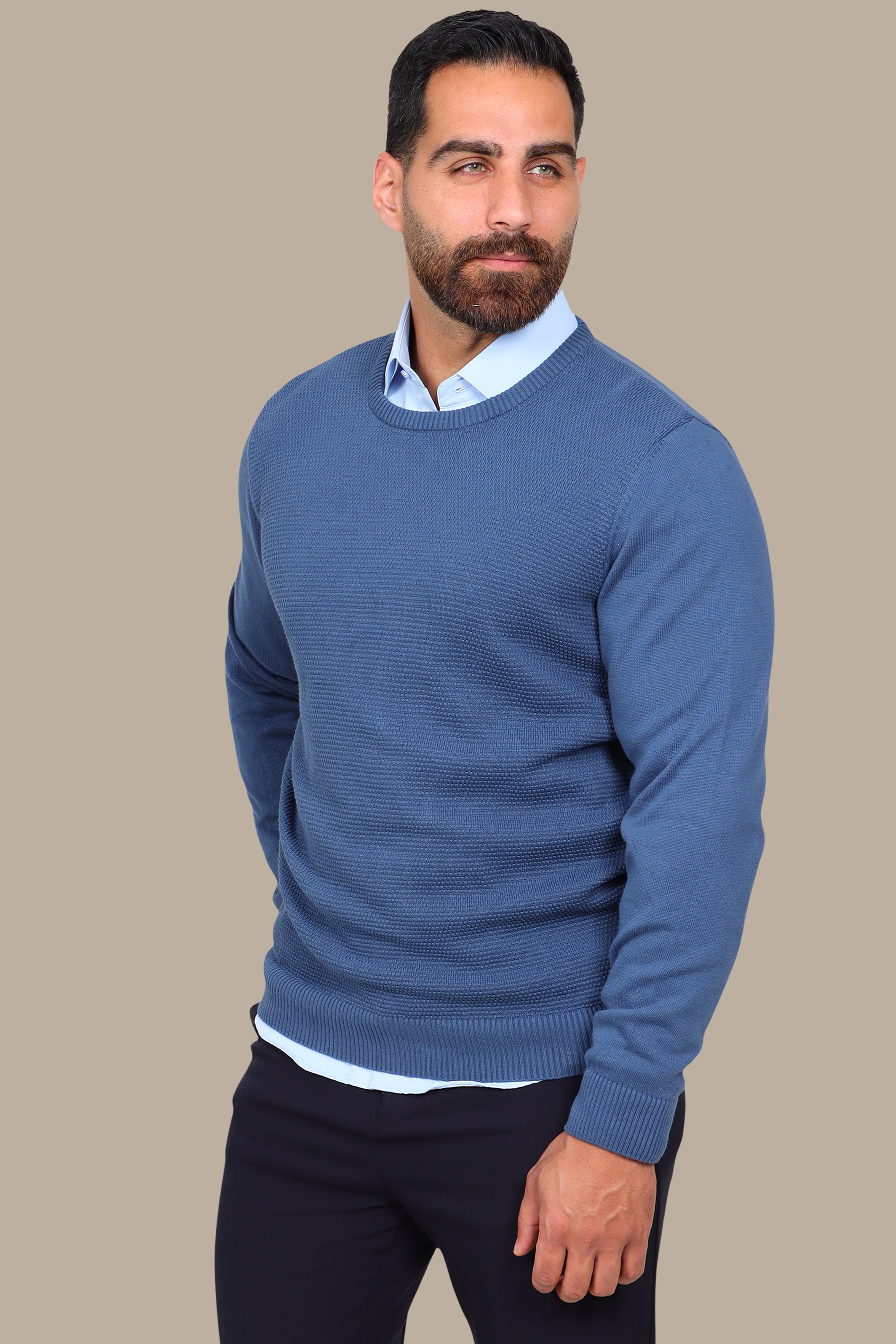 Blue Round Neck Sweater with Bee Print