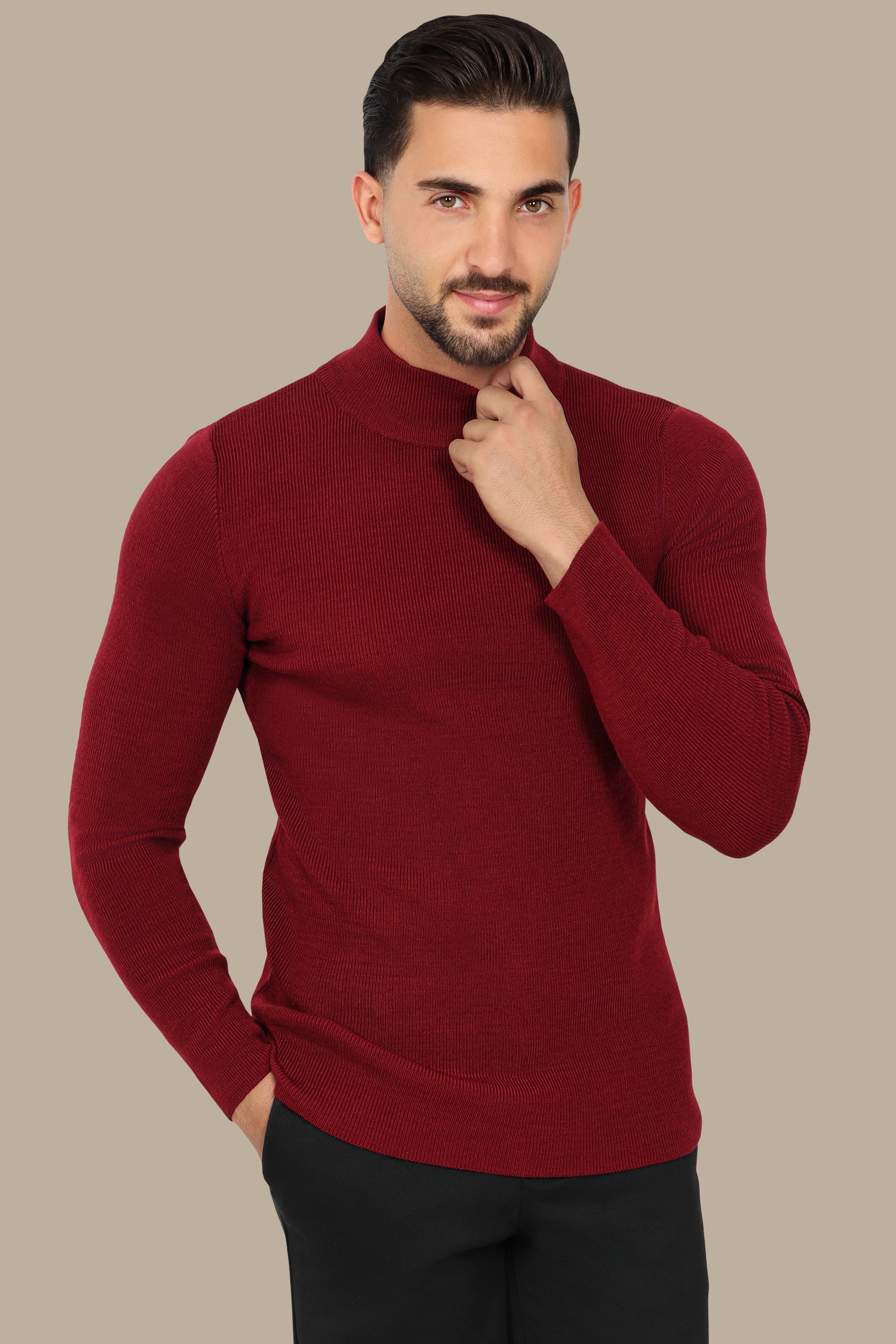 Bordeaux High Neck Basic Sweater