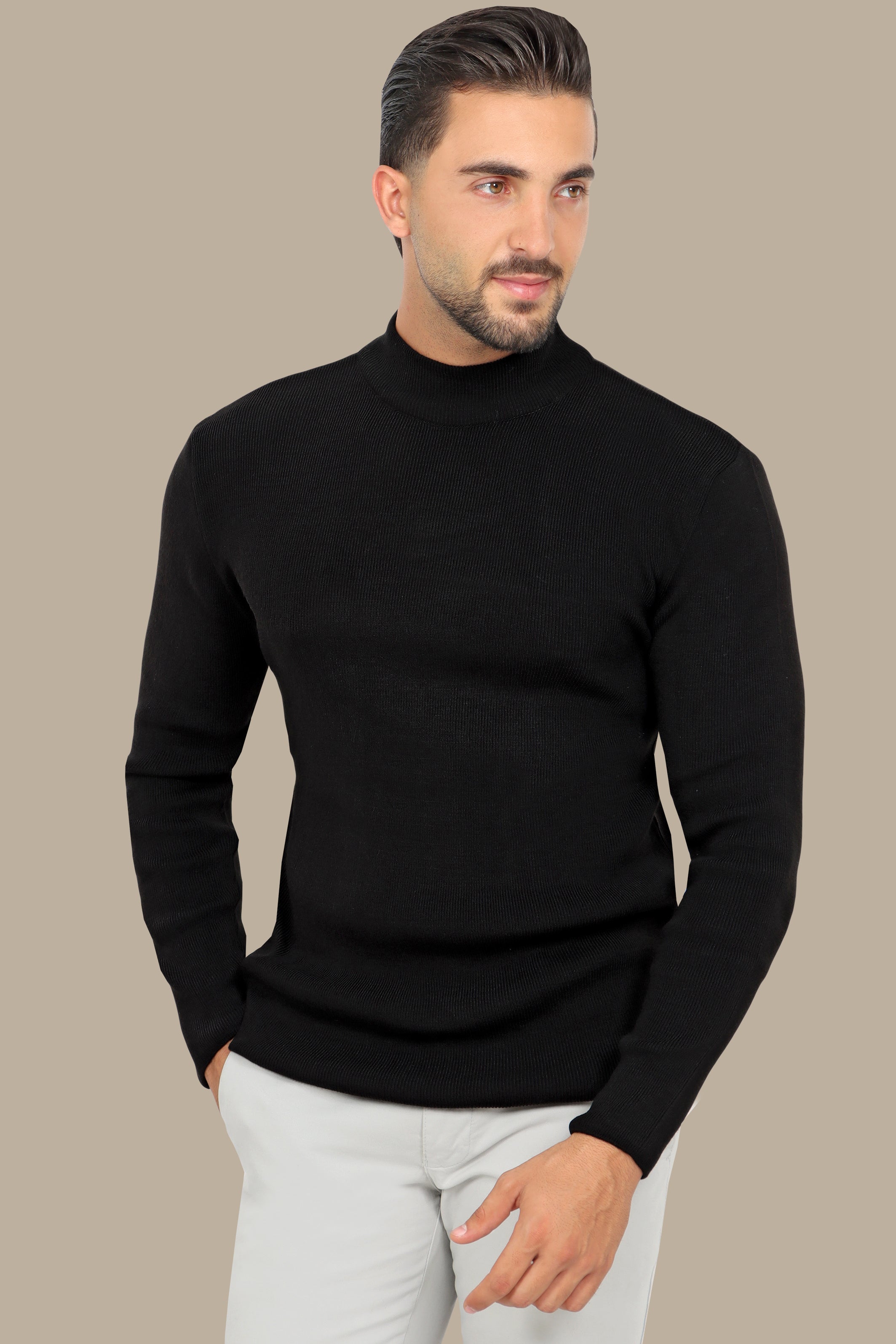 Black High Neck Basic Sweater