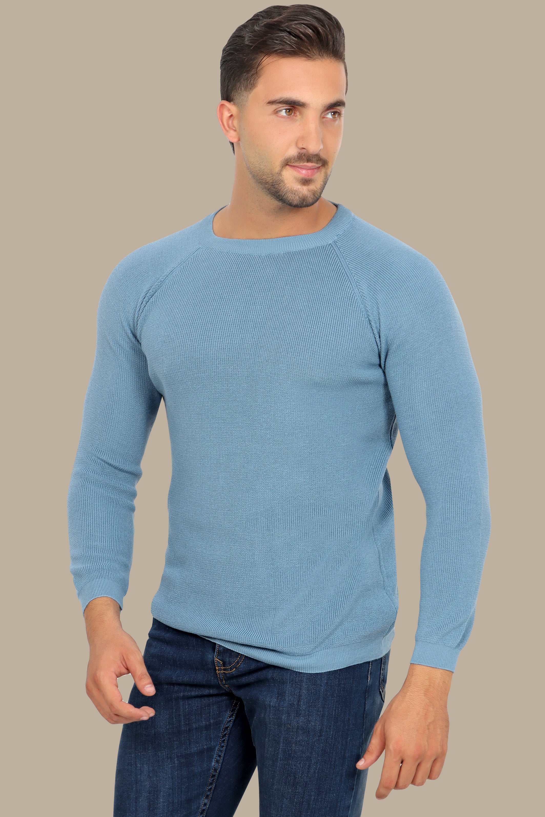 Sophisticated Style: Light Blue Round Neck Sweater with Shoulder Cups