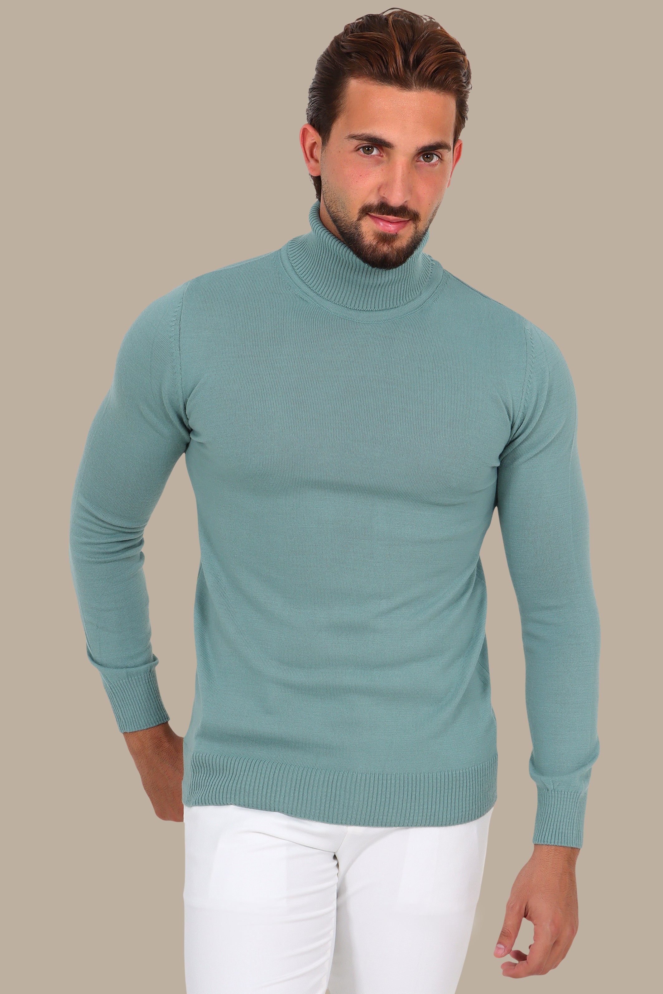Turtle Neck Basic Sweater in Mint