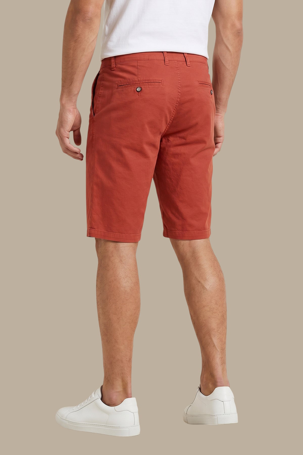 Brick Slim Fit Plain Chino Trousers