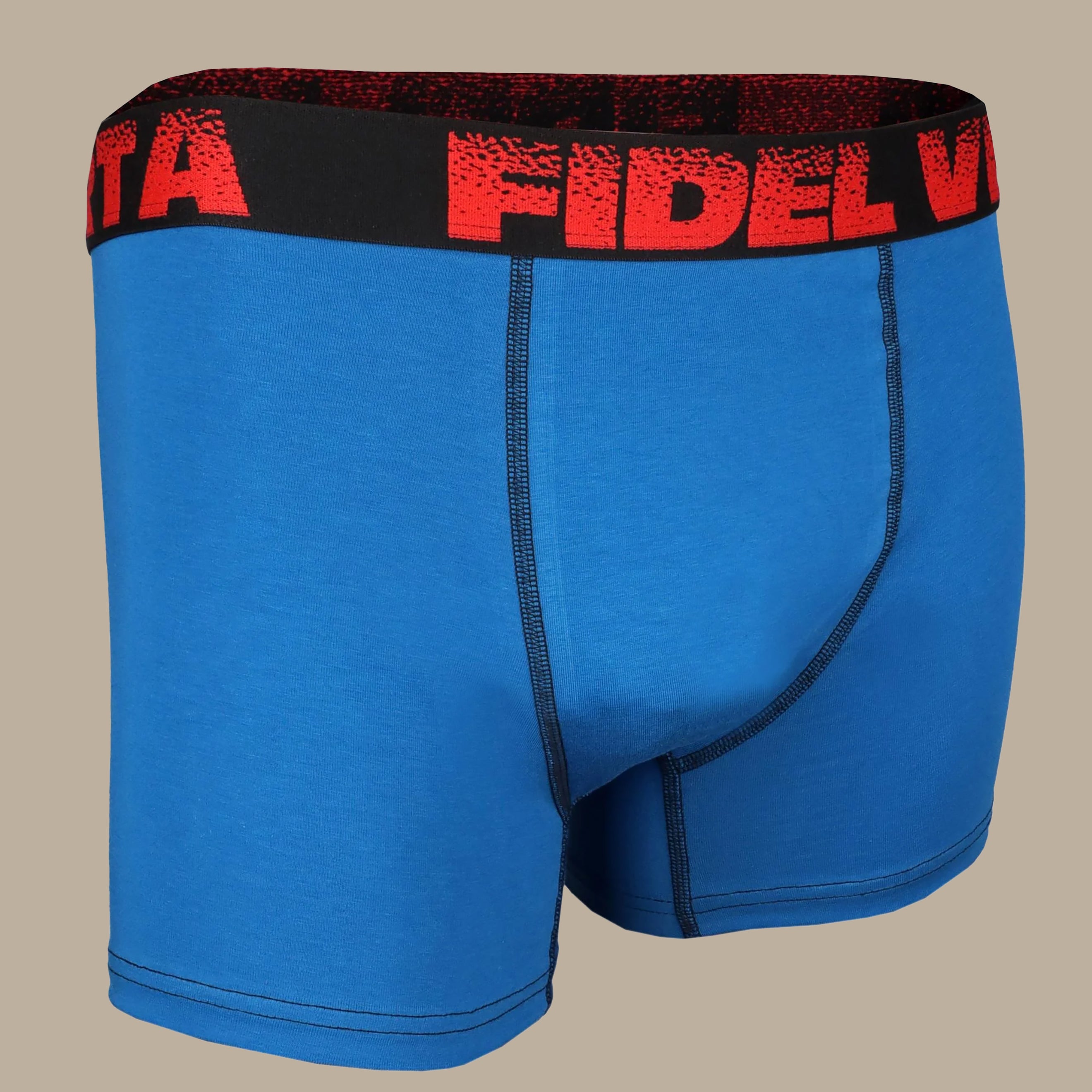 Blue Solid Fidel Verta Boxer Shorts