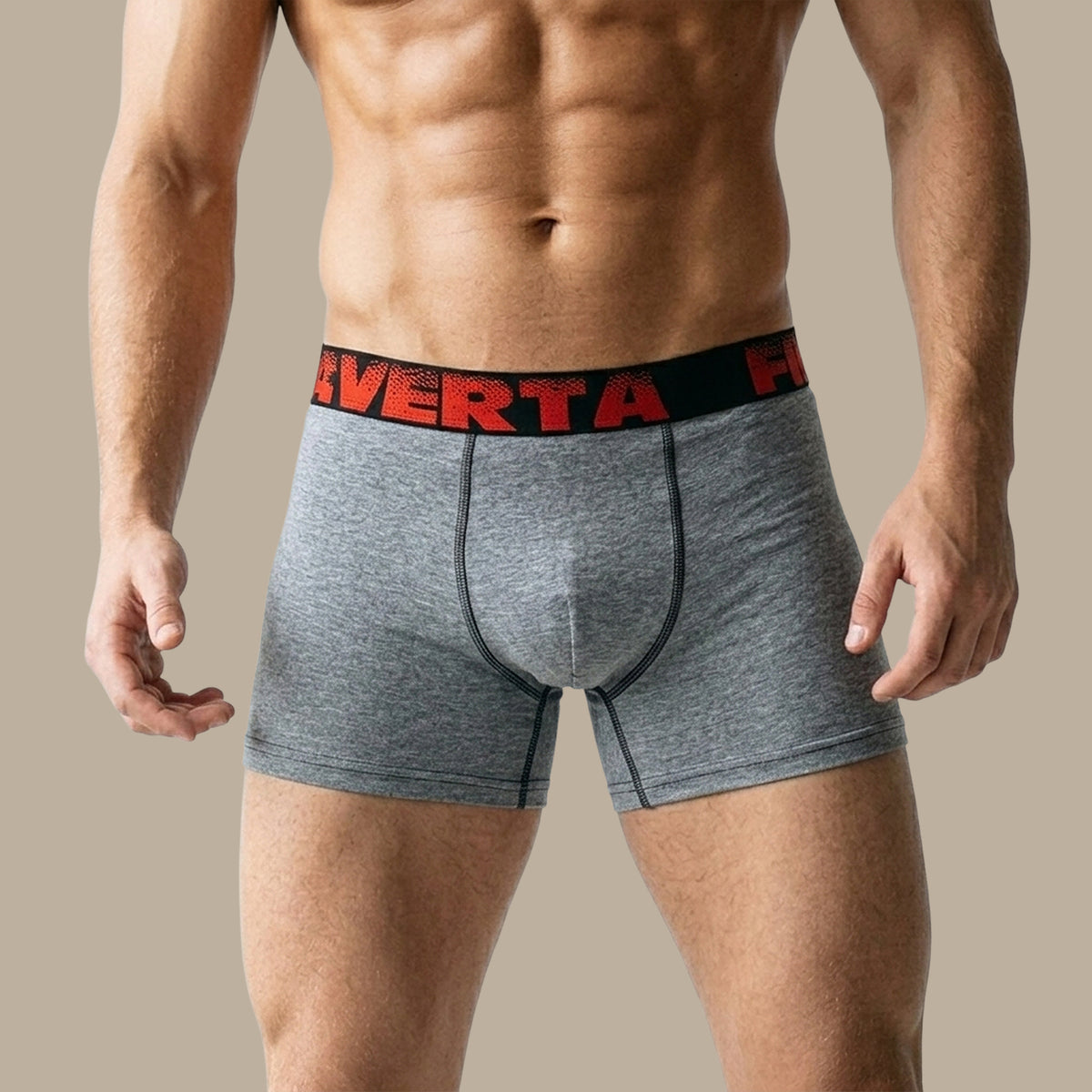 Fidel Verta Gray Solid Boxer
