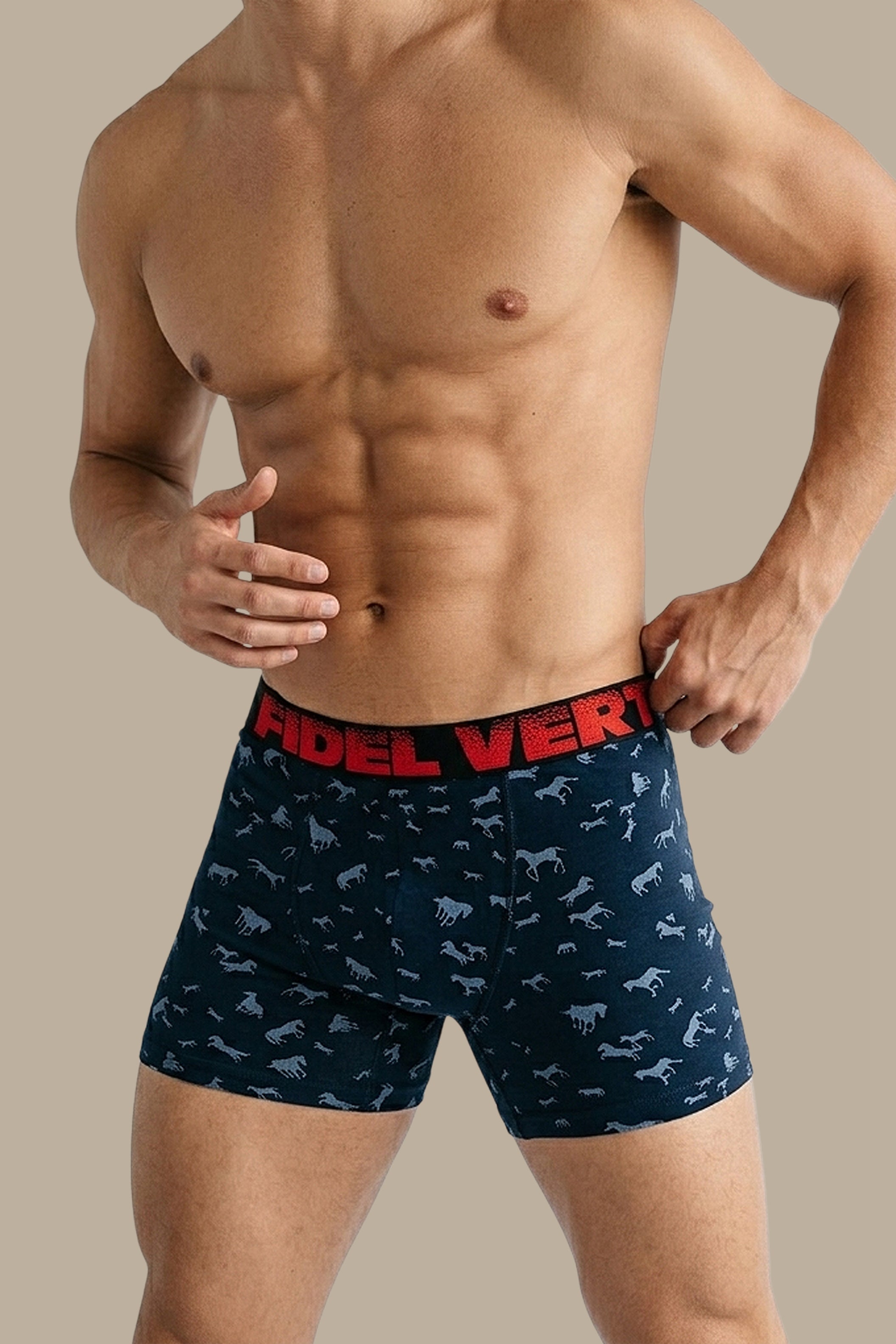 Navy Boxer with Horse Print