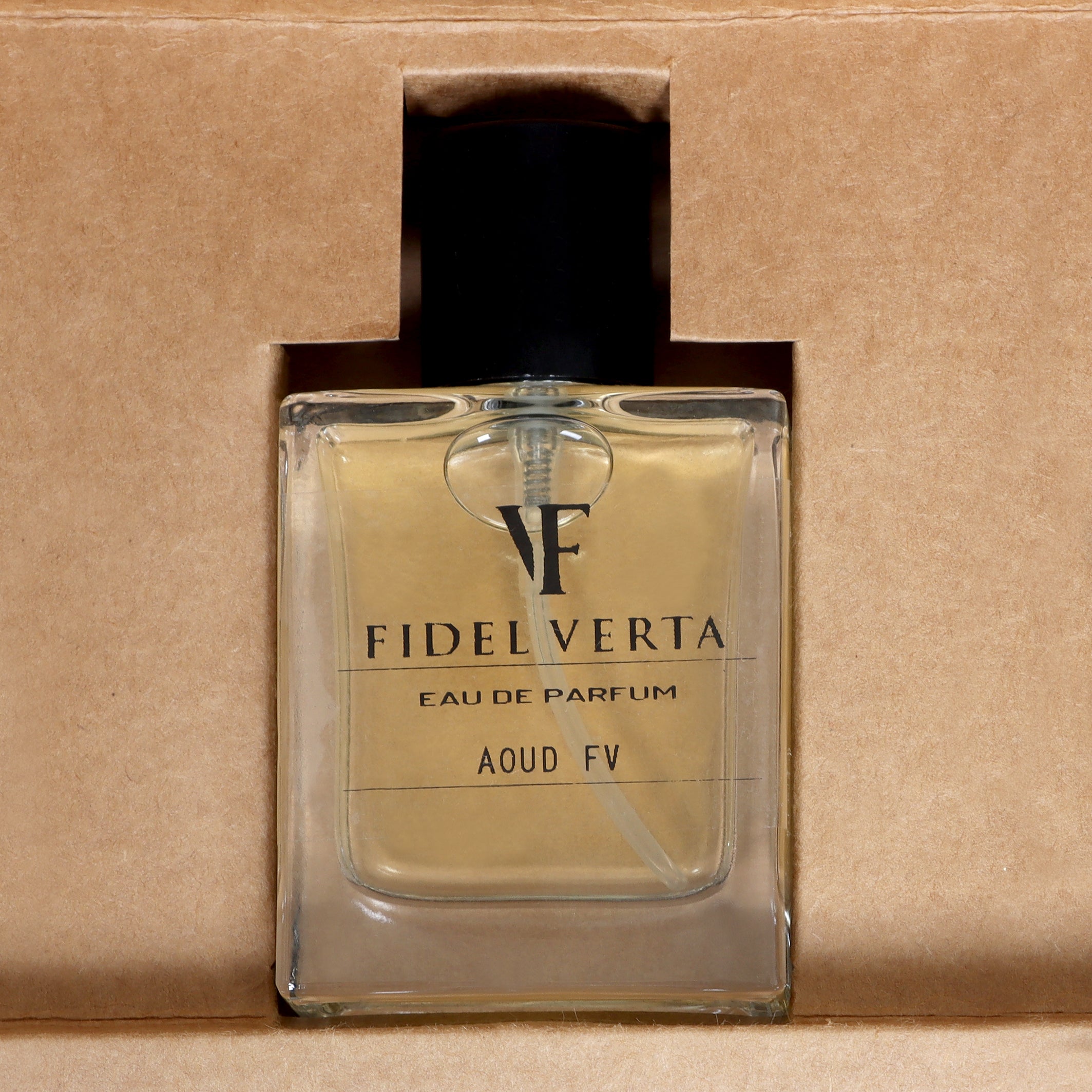 Velvet Aura: FV Aoud Elegance