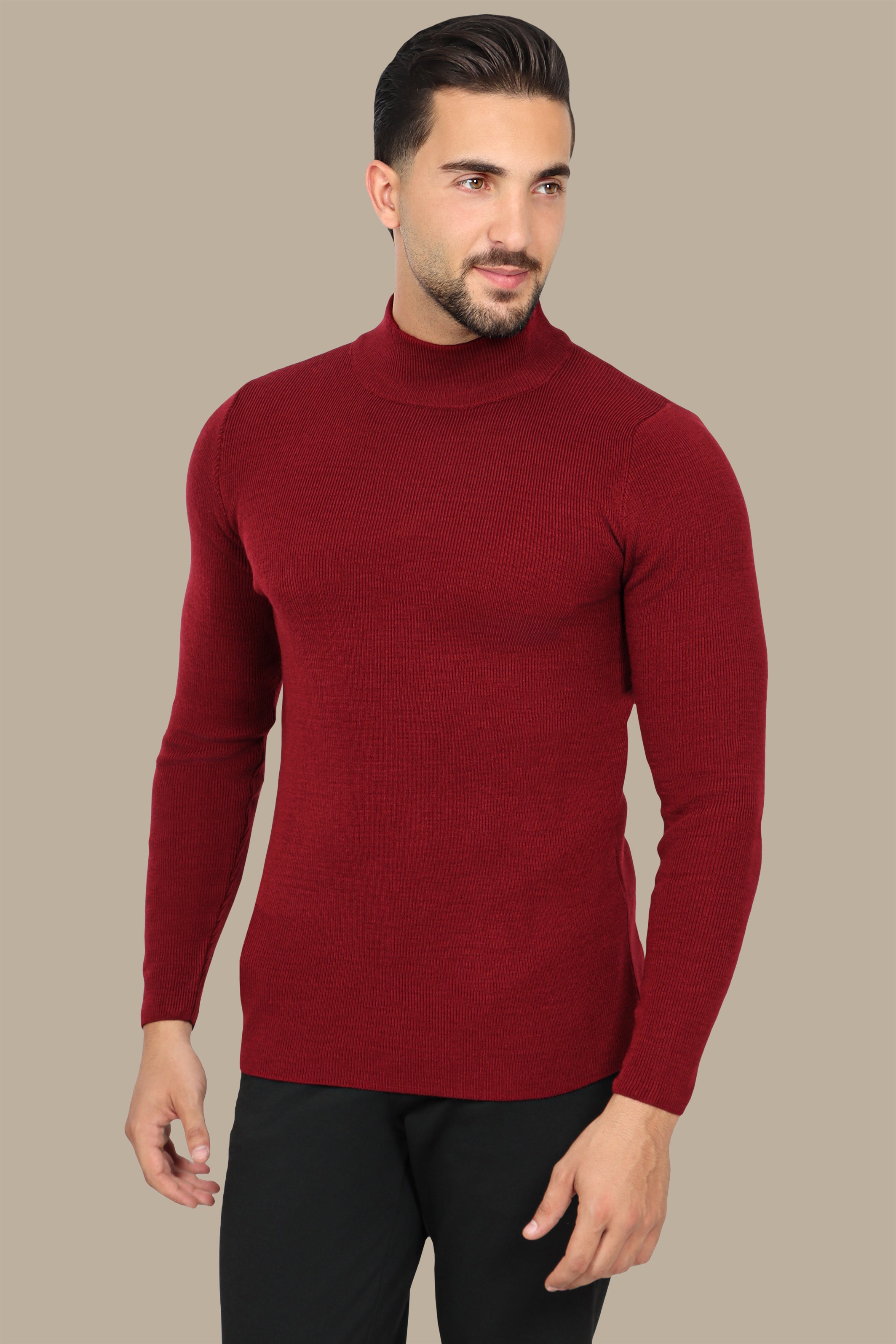 Bordeaux High Neck Basic Sweater