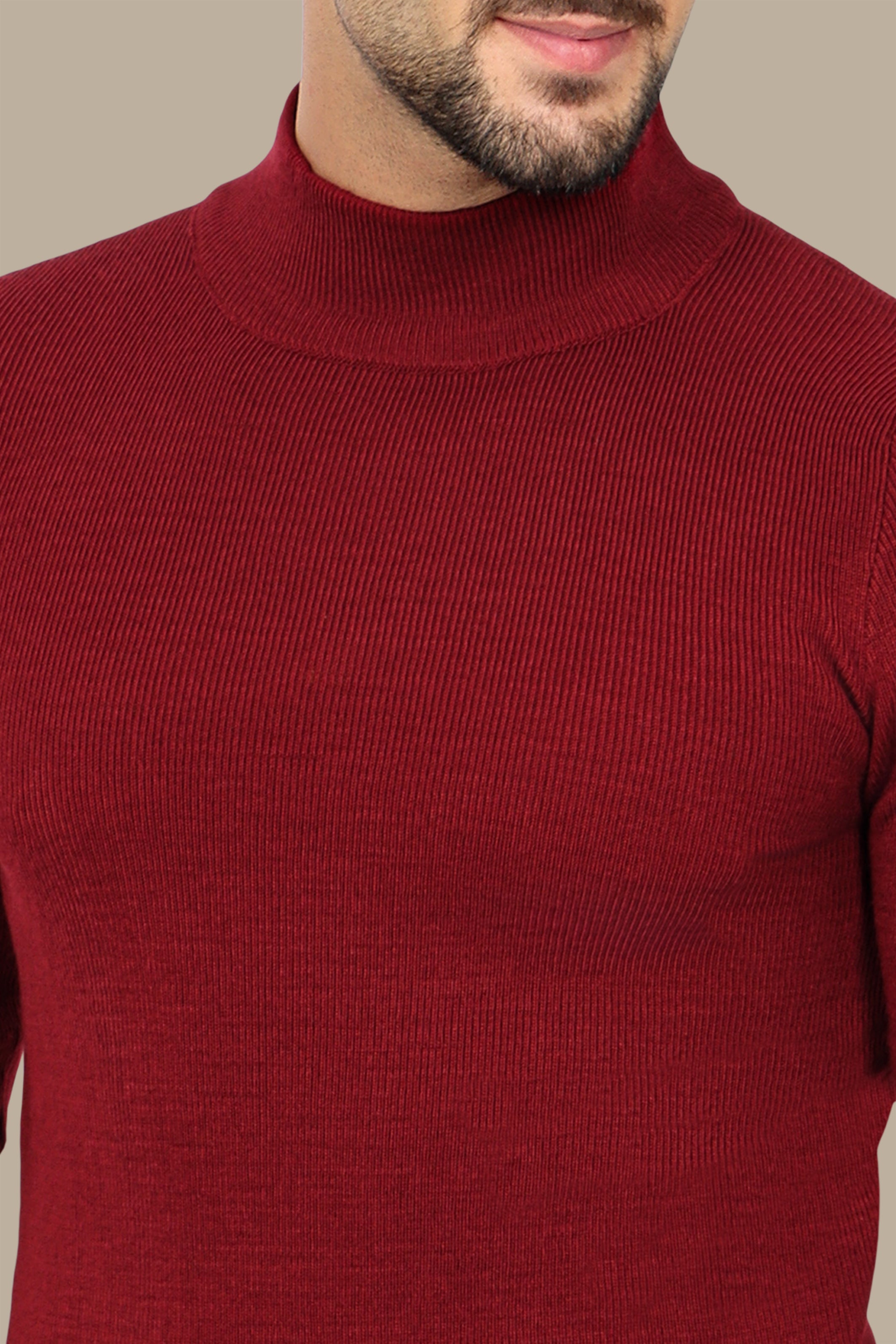 Bordeaux High Neck Basic Sweater