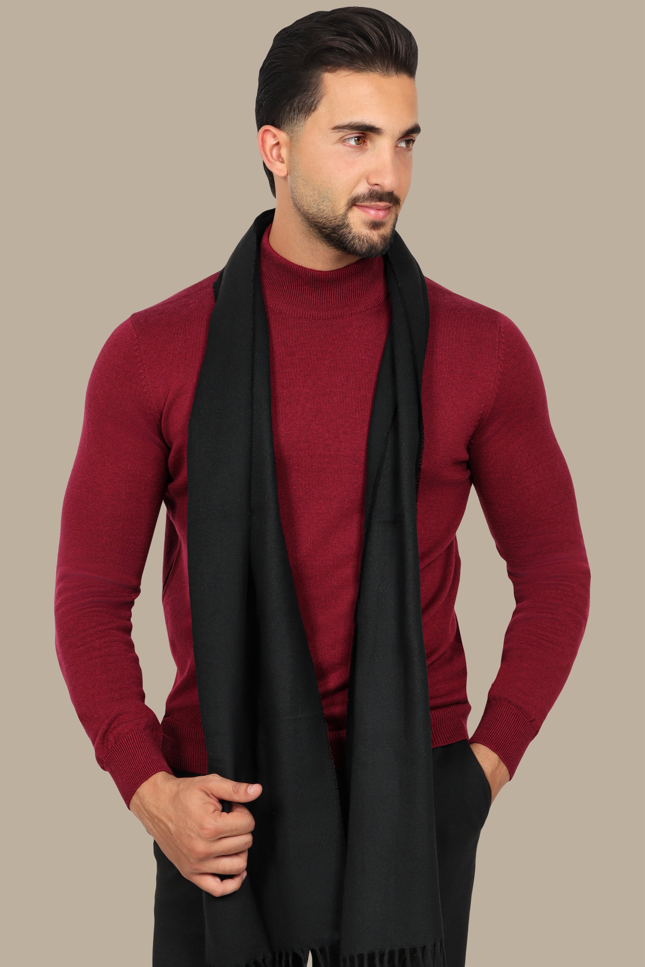 Burgundy High Neck Basic Sweater