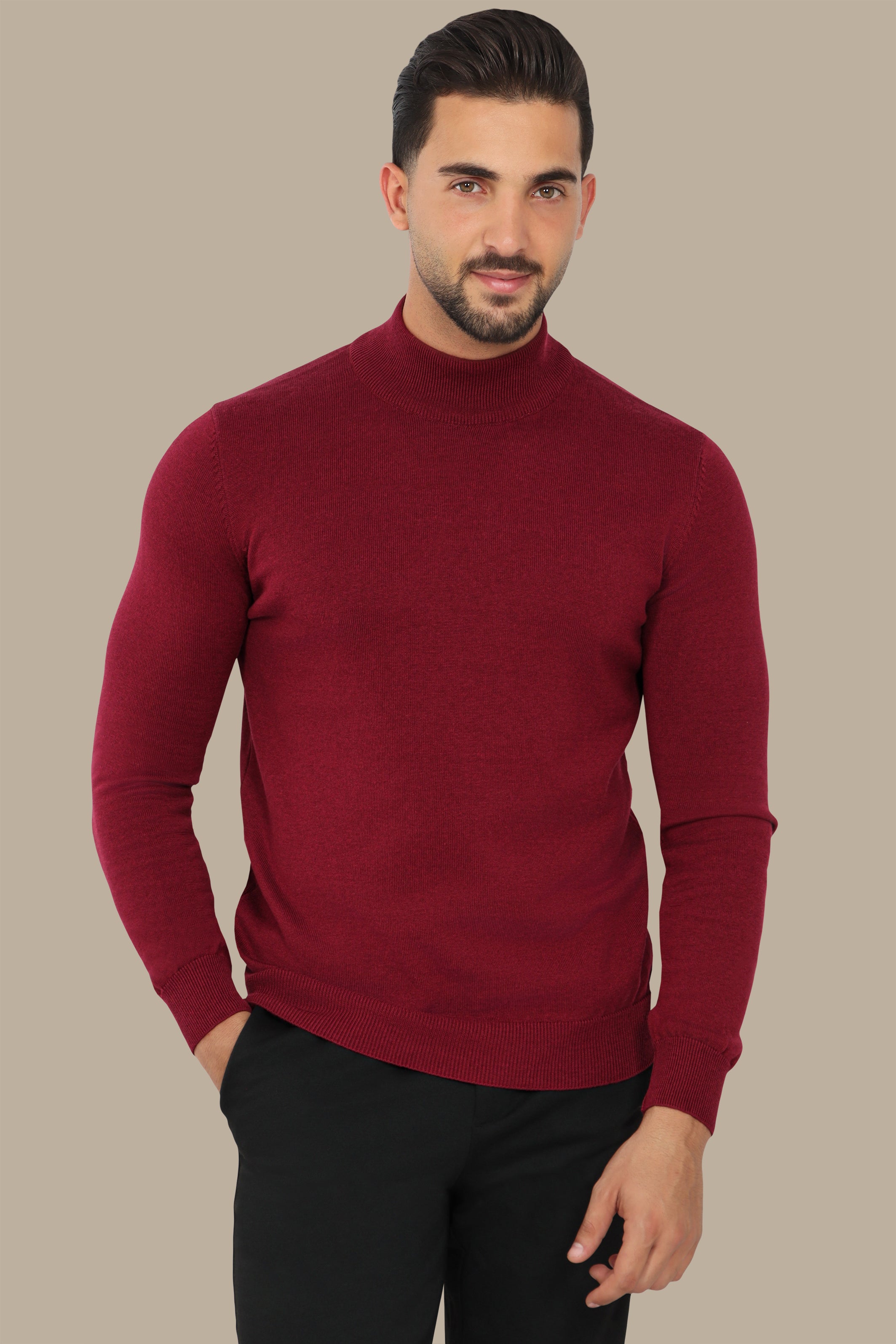 Burgundy High Neck Basic Sweater