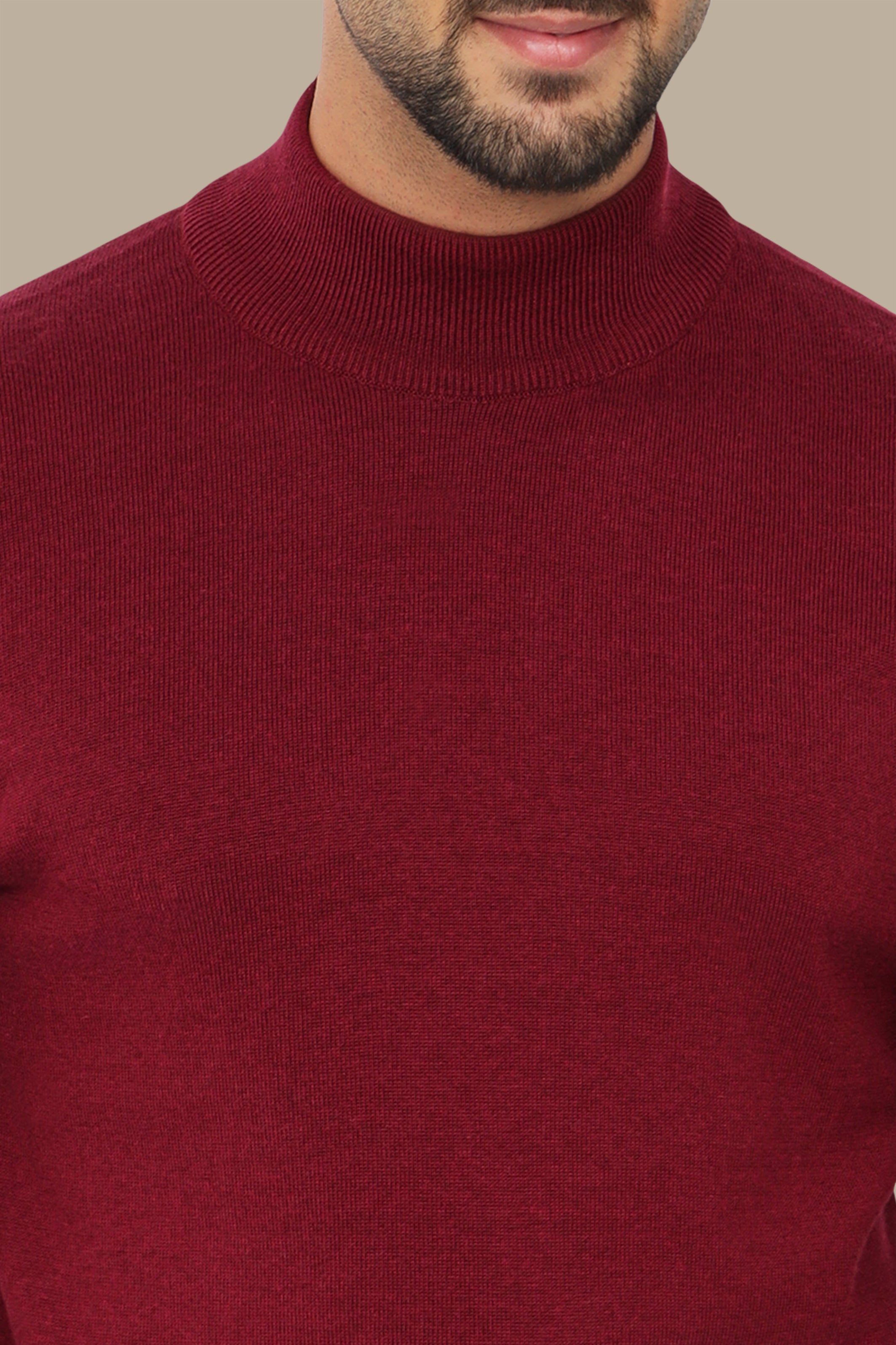 Burgundy High Neck Basic Sweater