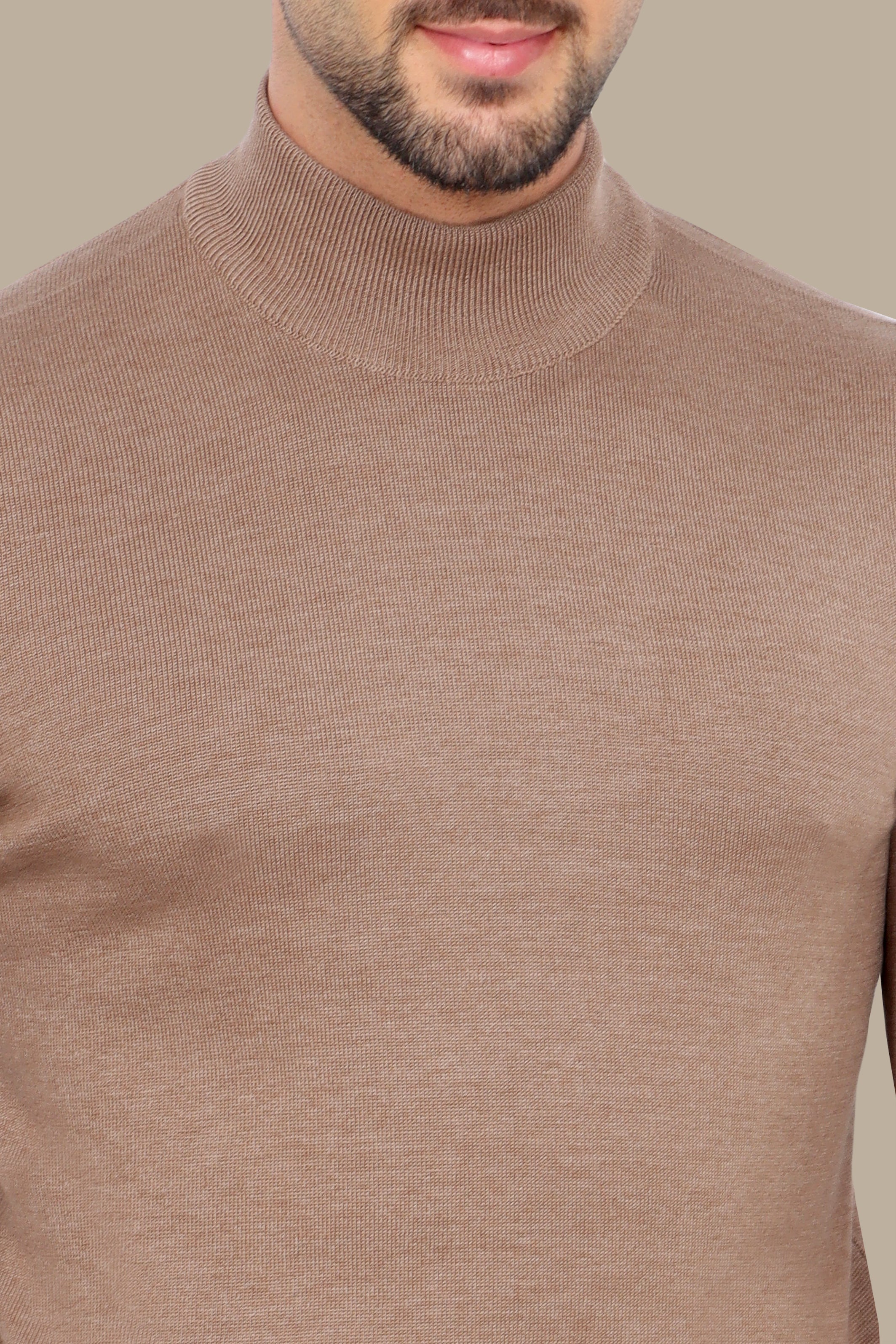 Beige High Neck Basic Sweater