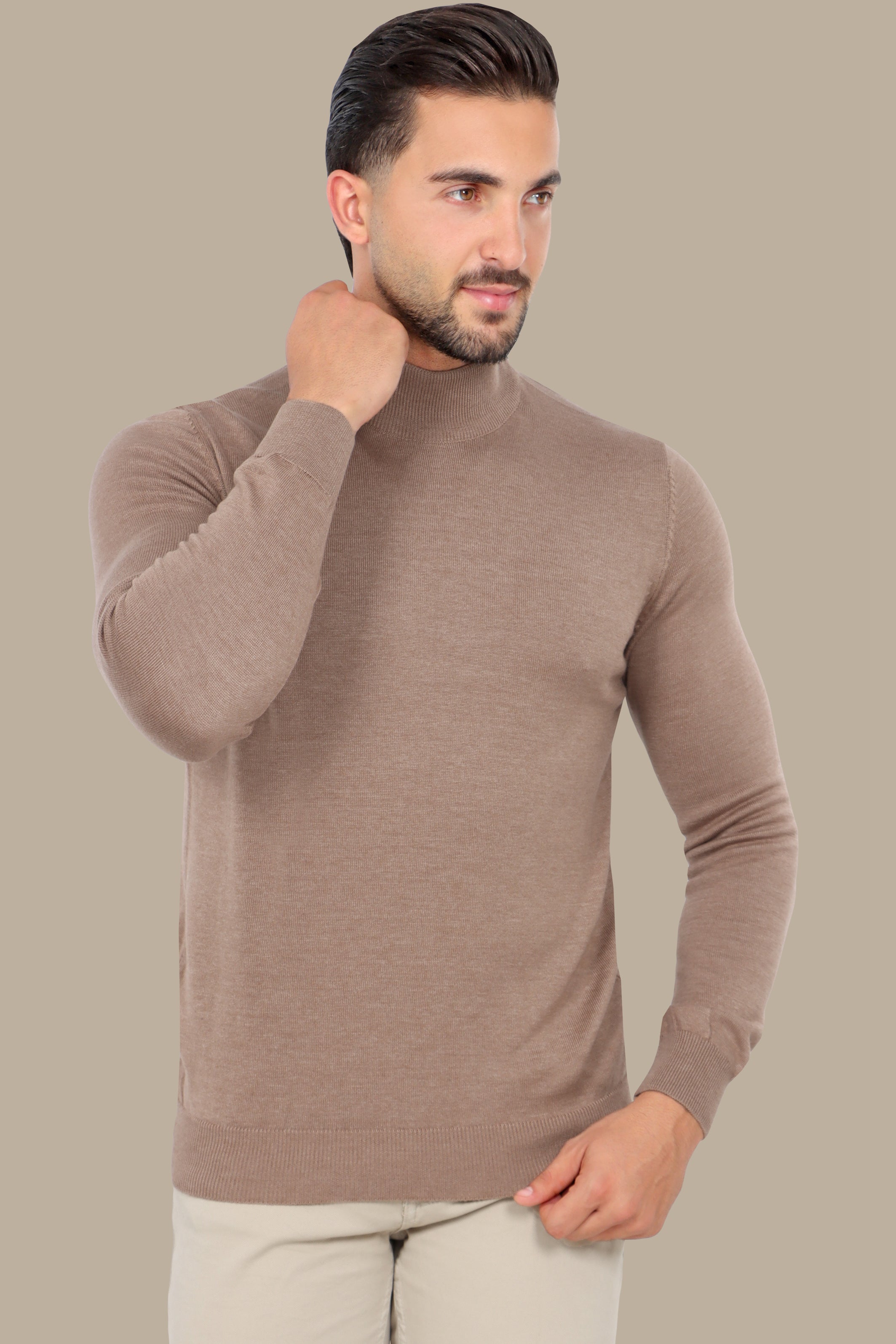 Beige High Neck Basic Sweater