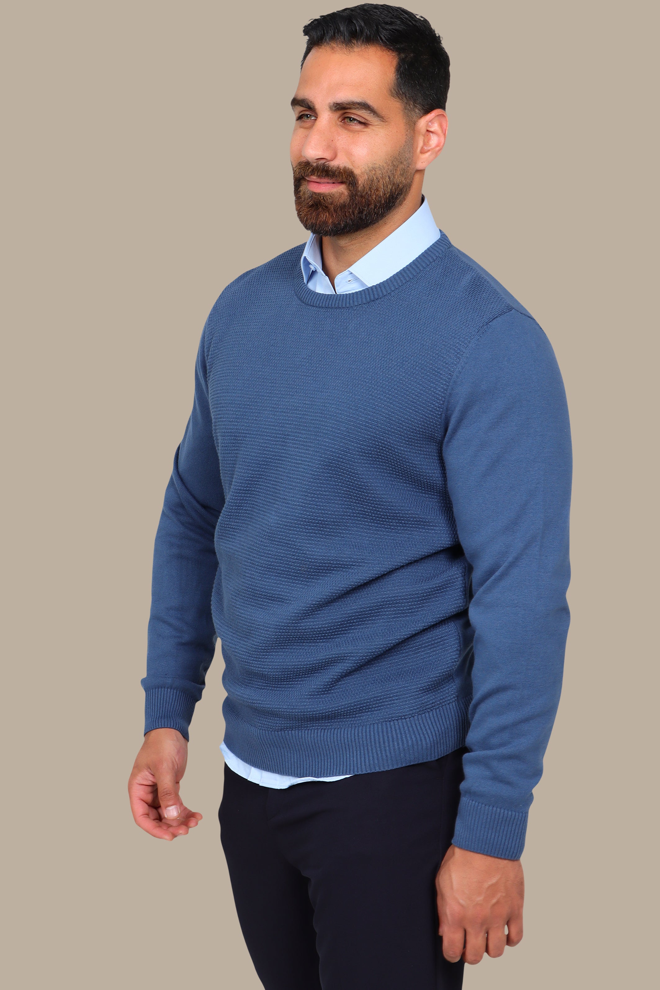 Blue Round Neck Sweater with Bee Print